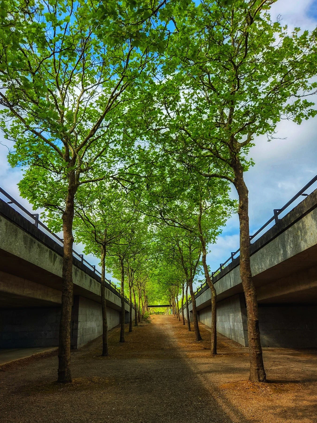 📸

📍Central Milton Keynes, Buckinghamshire 

CMK 💚