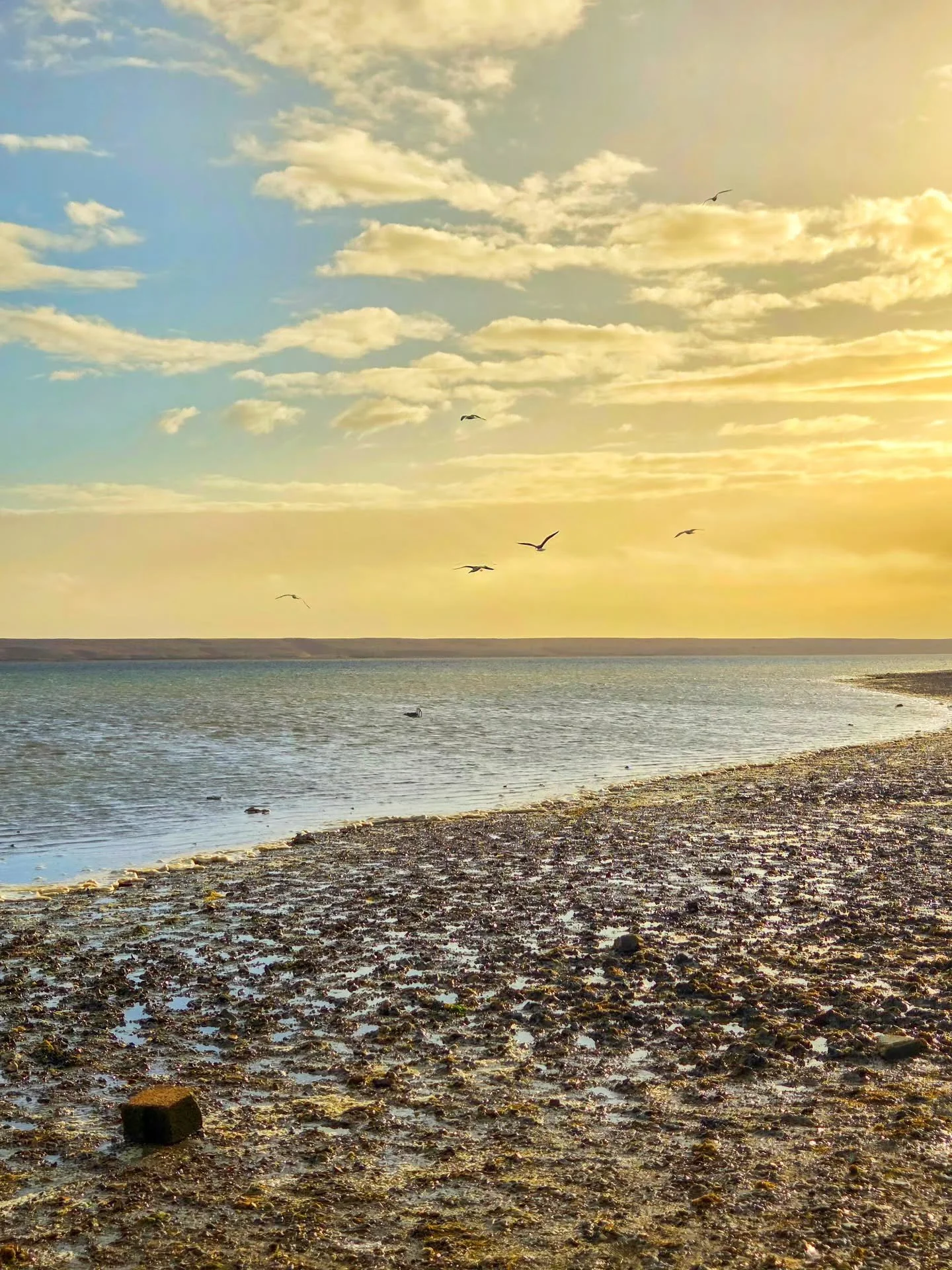 📸

📍Weymouth, Dorset 

Sunset glow 🌅