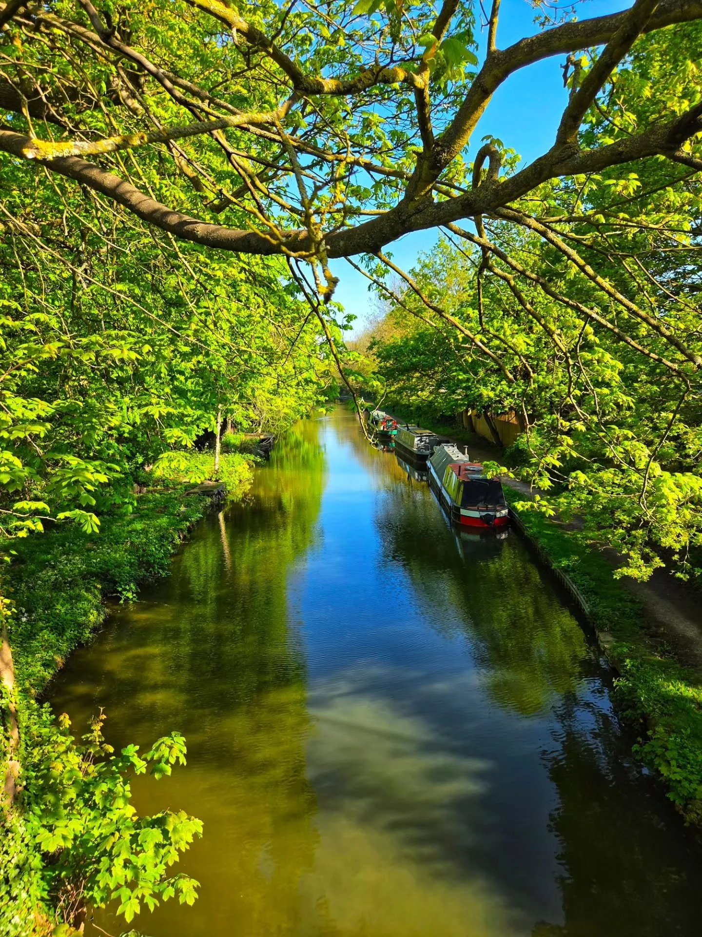 📸

📍Peartree Bridge, Milton Keynes

Greens on the canal 💚🌿