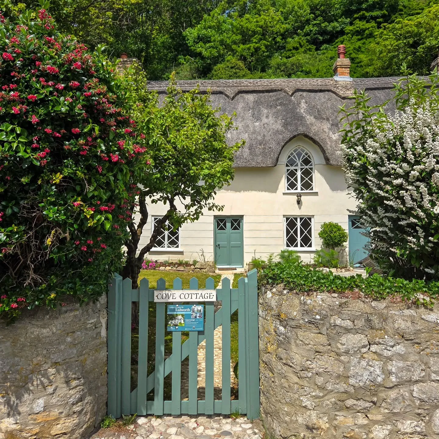 📸

📍Lulworth, Dorset

Cove Cottage 🌿