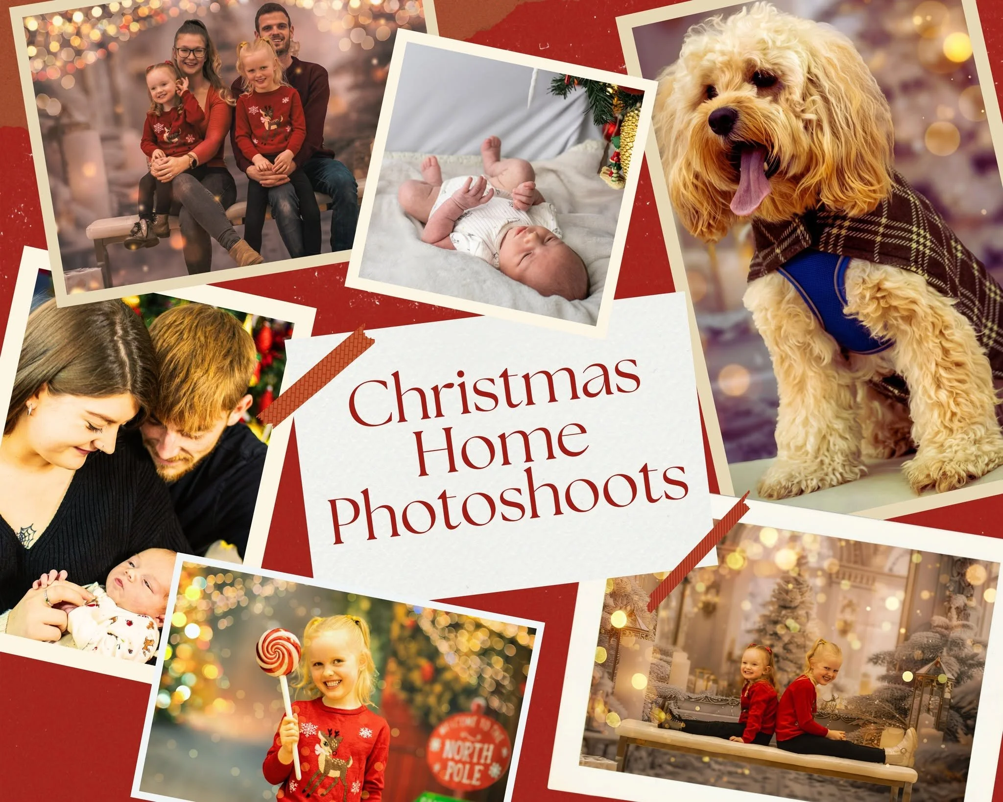 Christmas Home Photoshoots