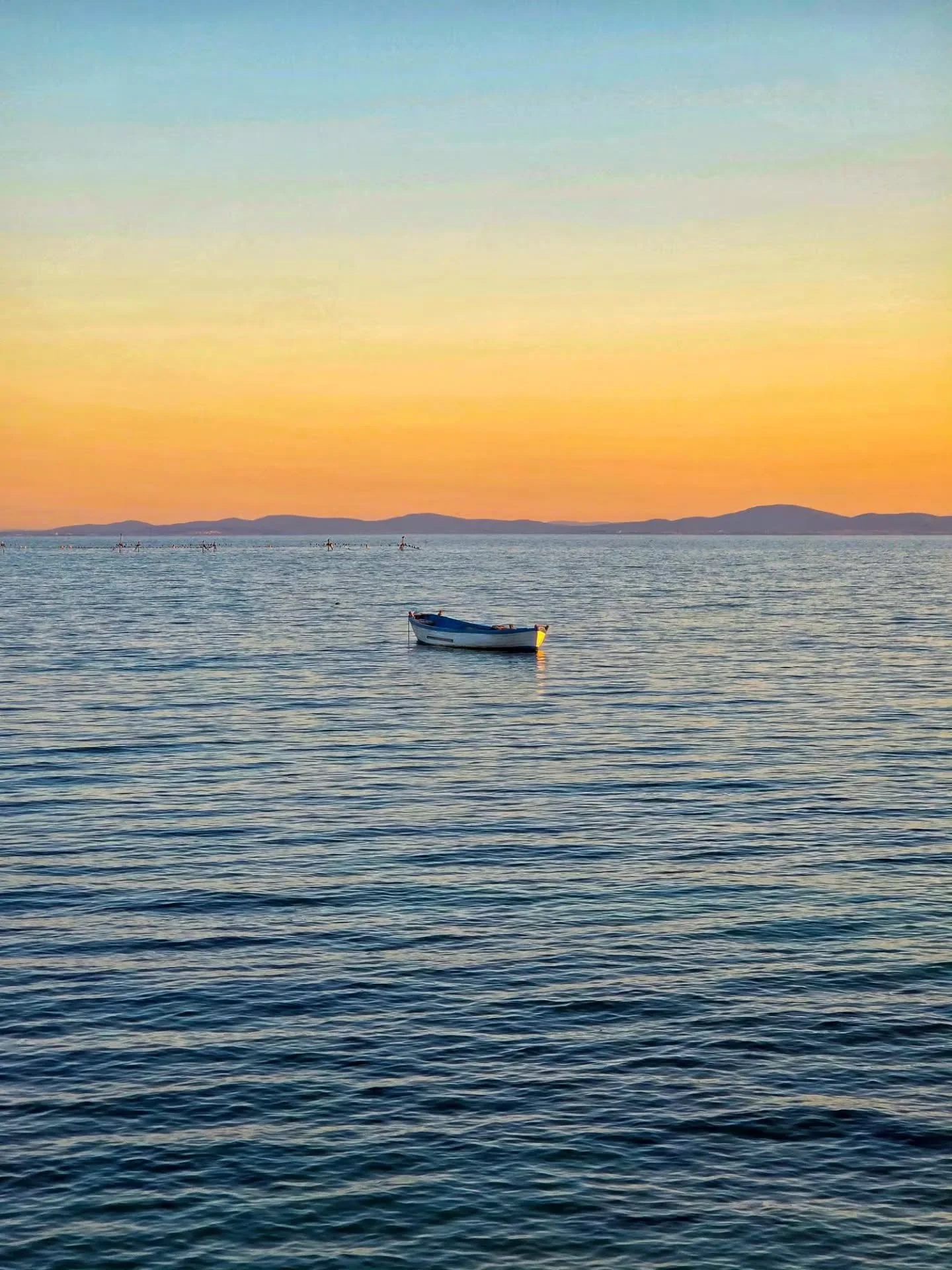 📸

📍Nesebar, Bulgaria 

Floating peacefully 🛶
