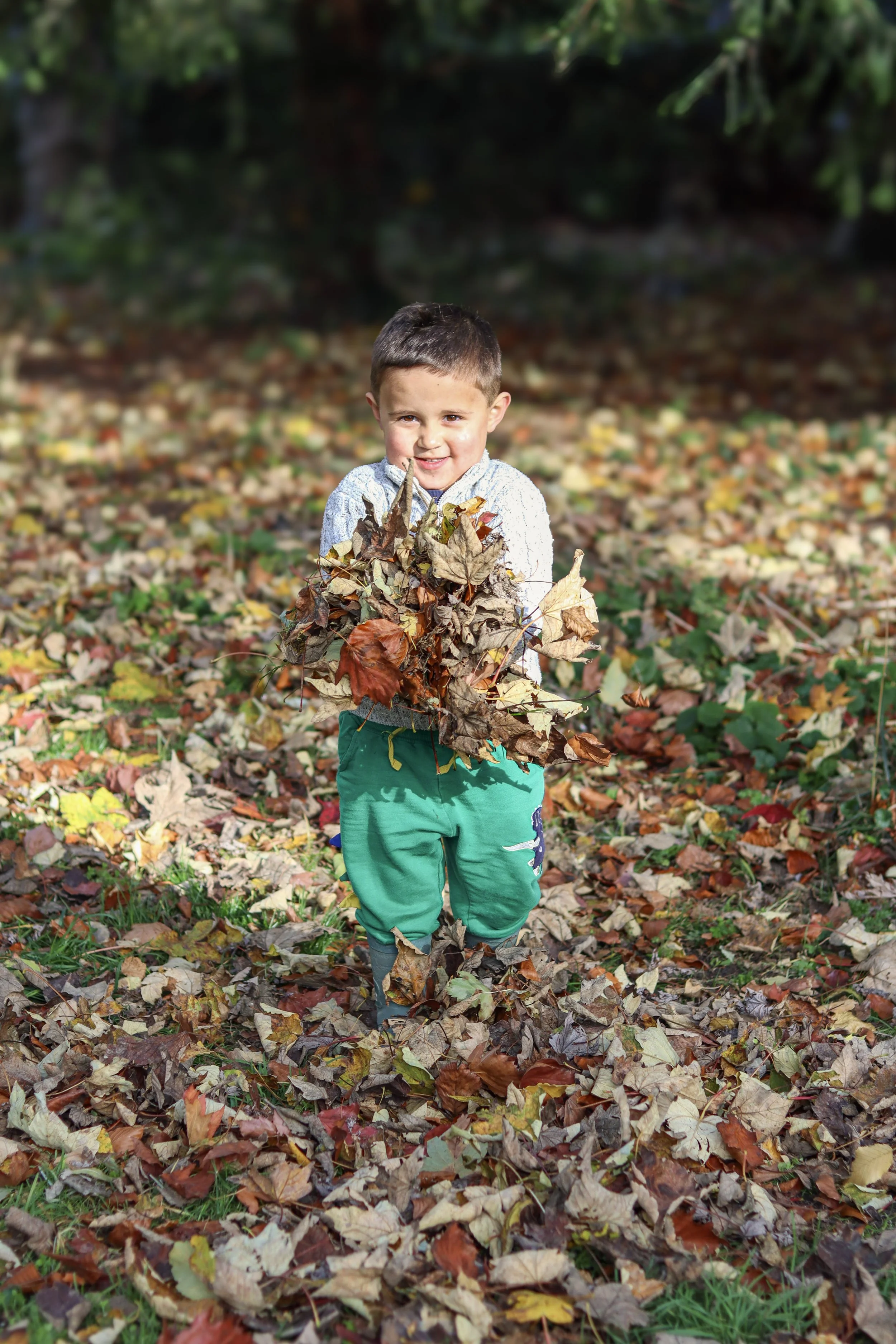 A young boy standing outdoors on a bed of colorful fallen autumn leaves, smiling and holding a large bunch of leaves.