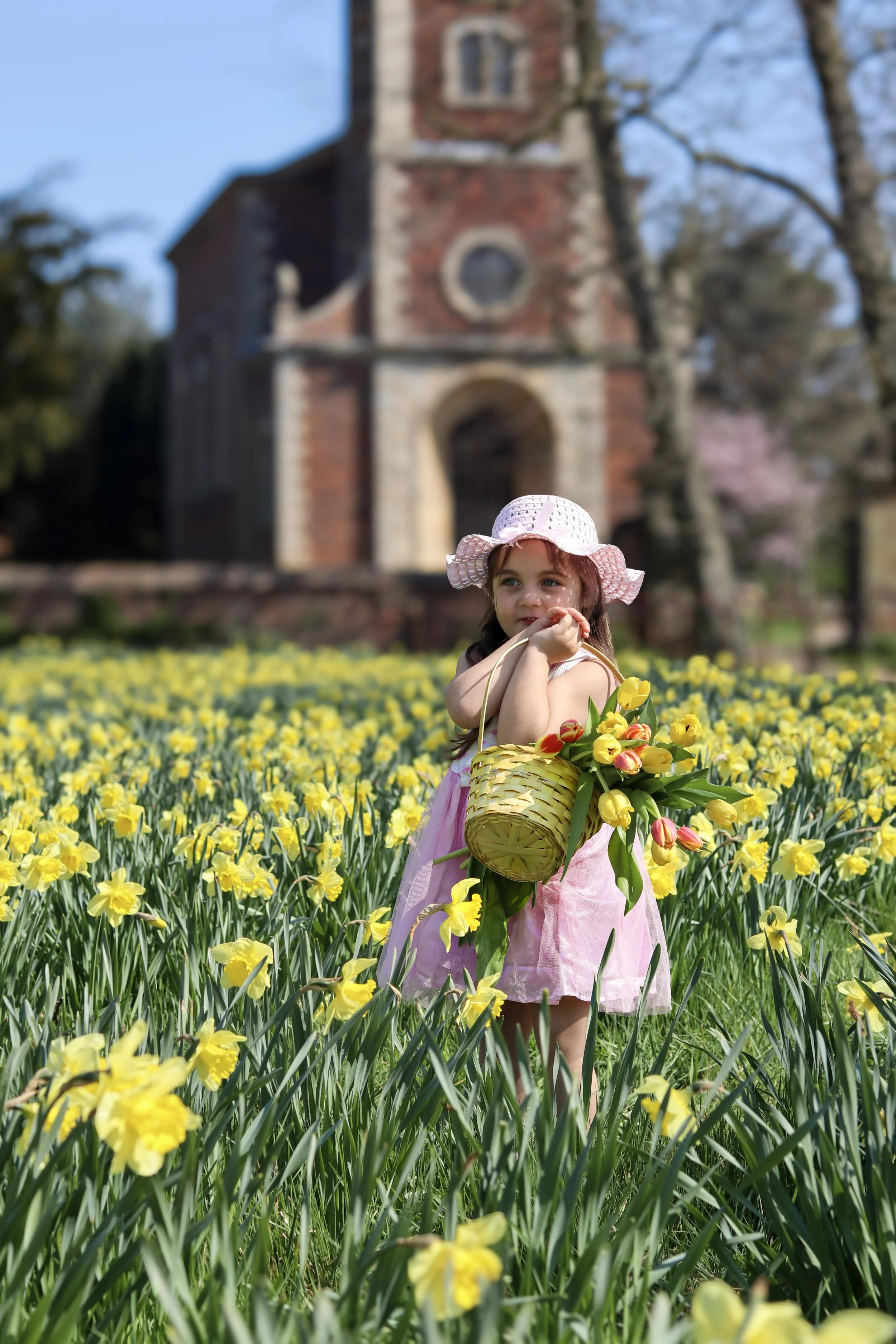 A young girl in a pink dress and wide-brimmed pink hat stands in a field of yellow flowers, holding a basket of tulips, with an old brick church in the background on a sunny day.