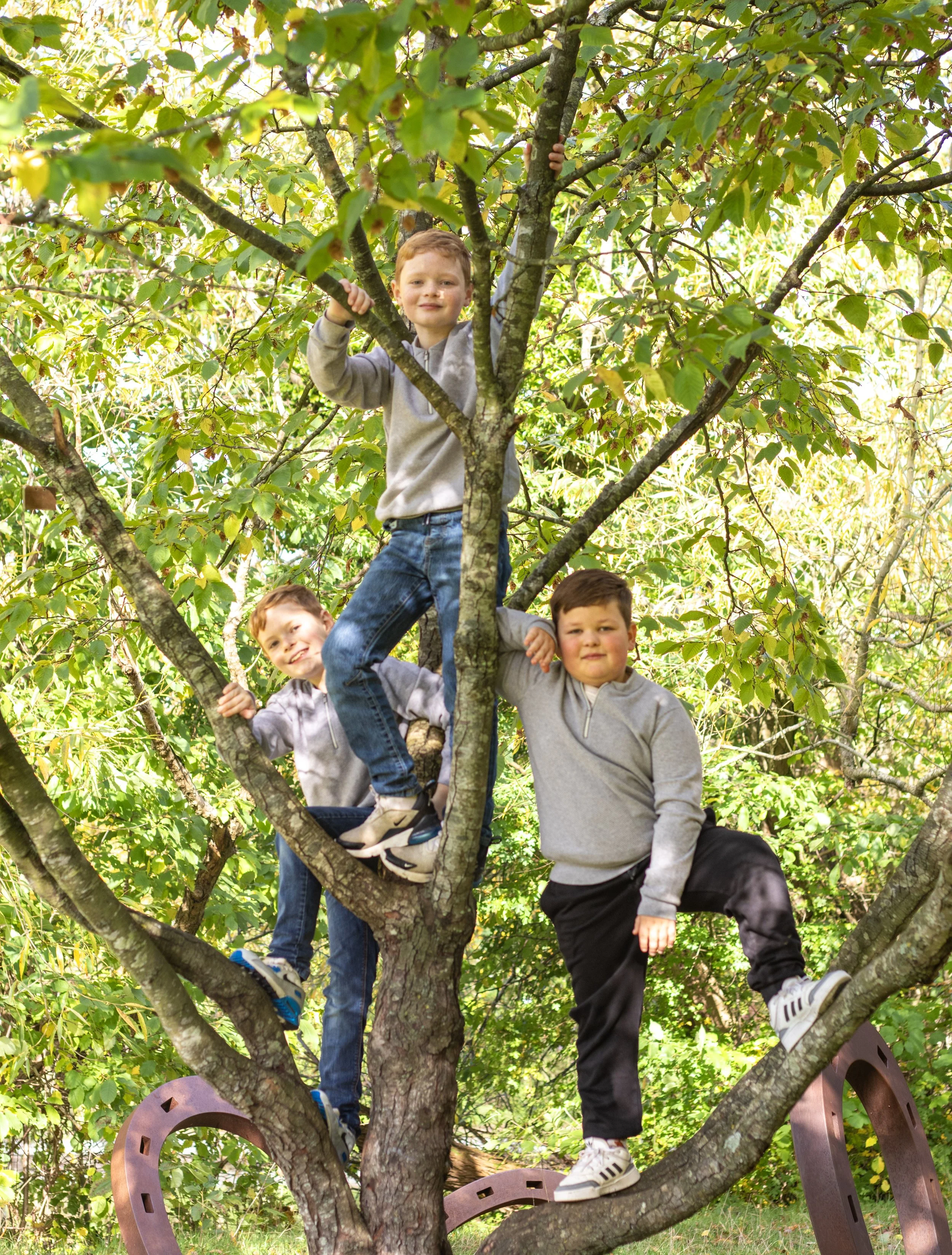 Three boys climbing a tree outdoors surrounded by green leaves in daytime.