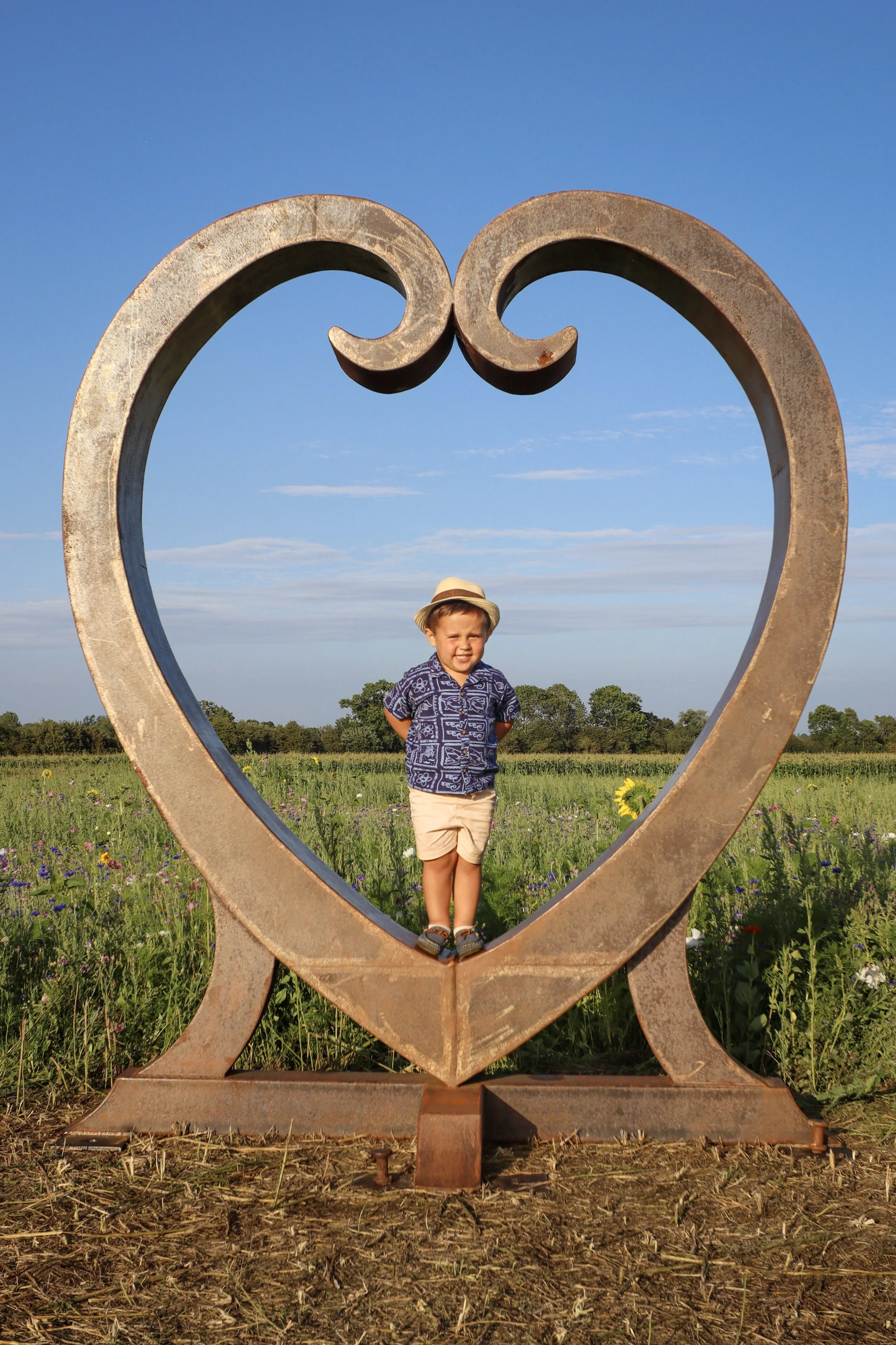 A young boy stands inside a large metal heart-shaped sculpture in a field of flowers under a blue sky.