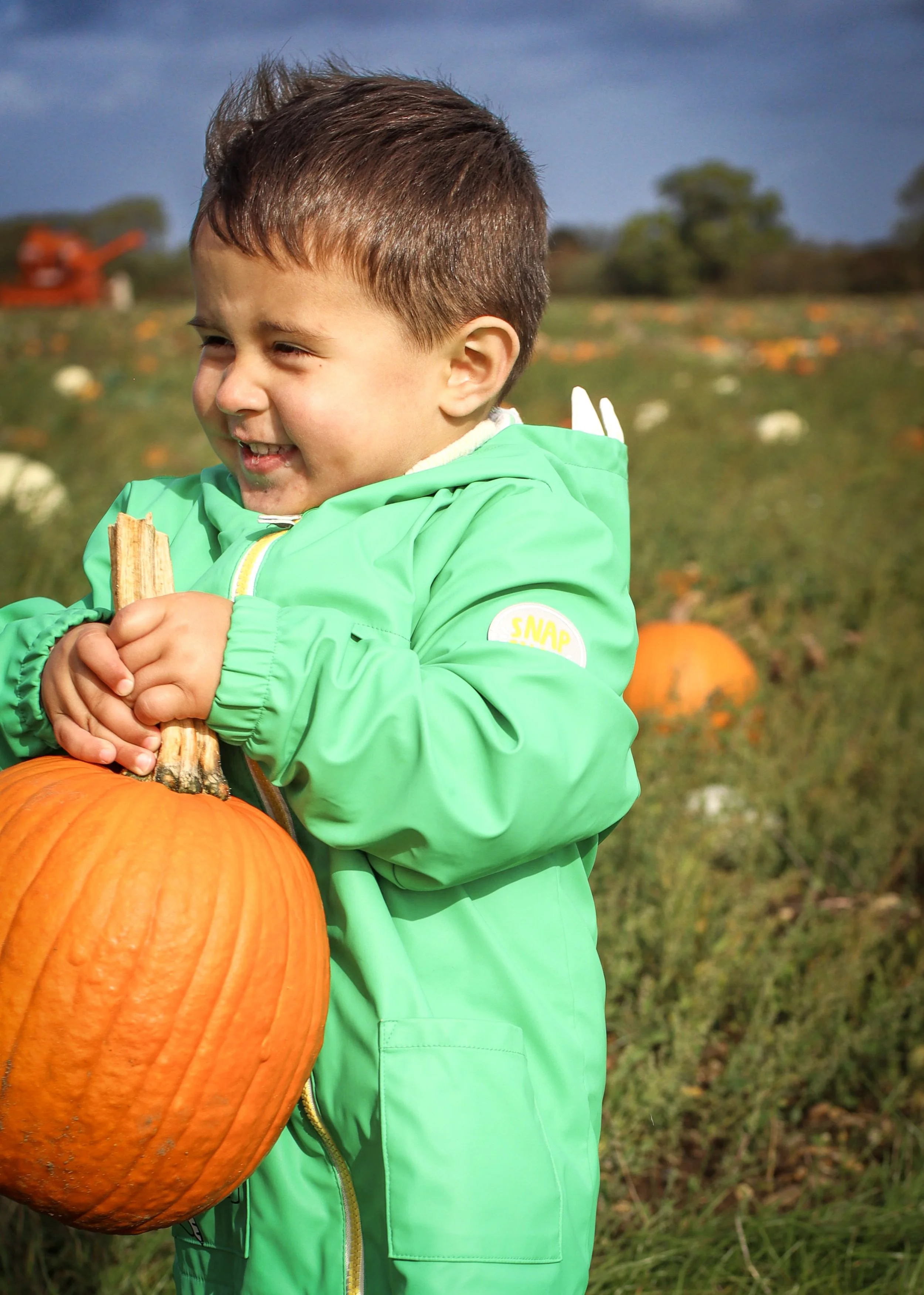 A young boy in a green jacket holding a pumpkin at a pumpkin patch during daytime.