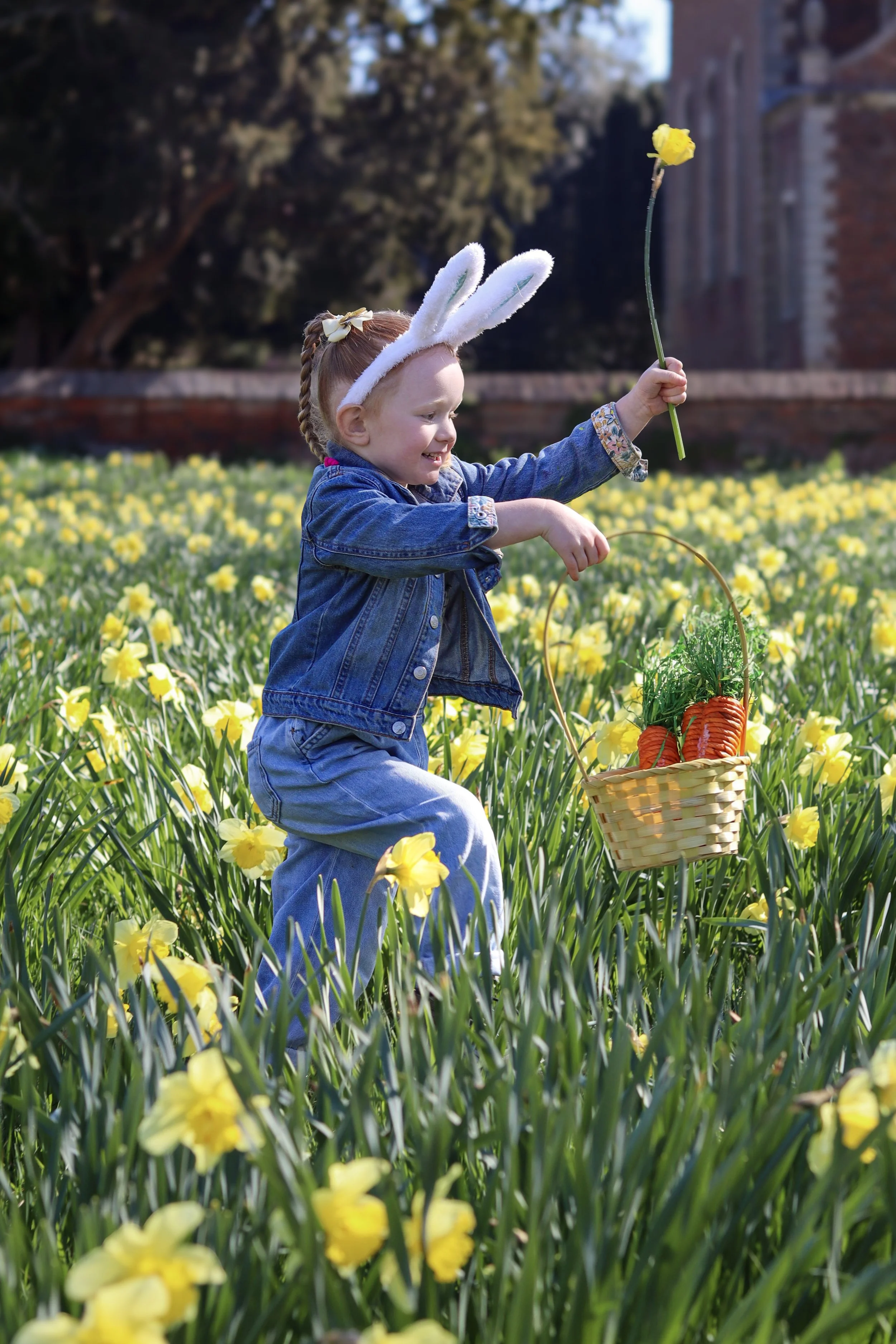 A young girl wearing bunny ears and a denim jacket is collecting carrots in a basket in a field of yellow flowers, holding a flower in her hand and smiling.