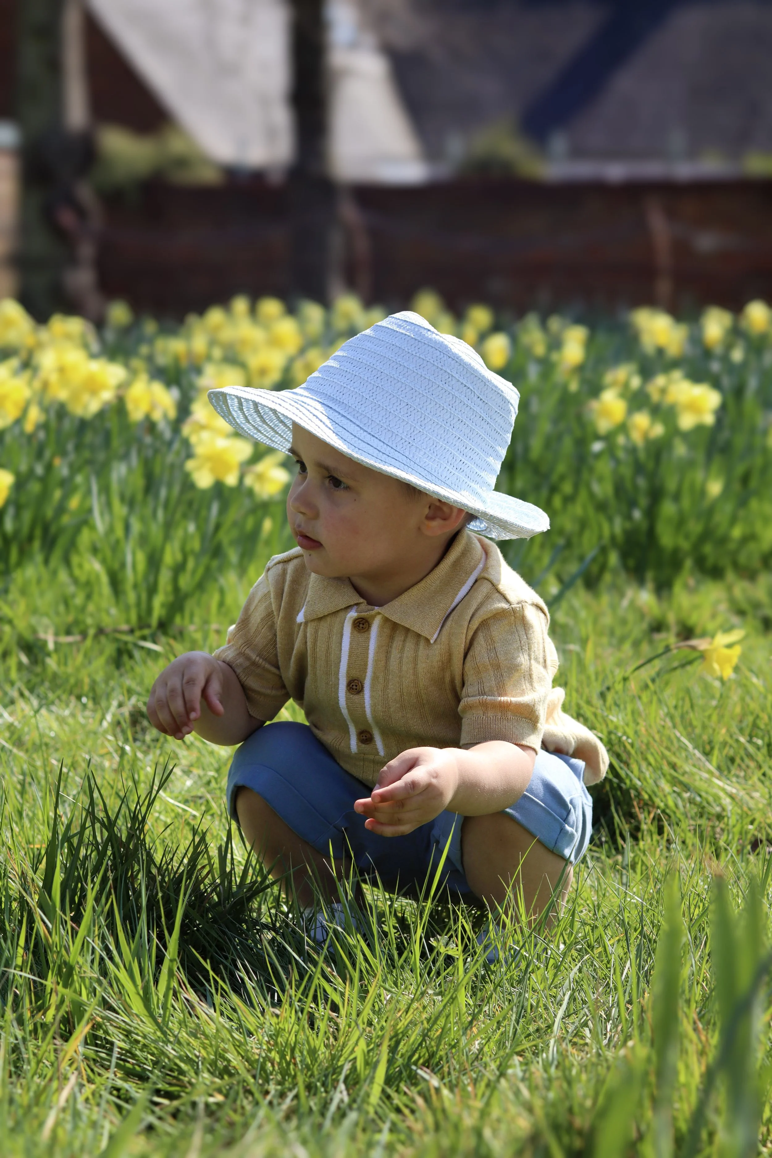 A young boy crouching in the grass wearing a beige shirt, blue shorts, and a white sunhat in a garden with yellow flowers.