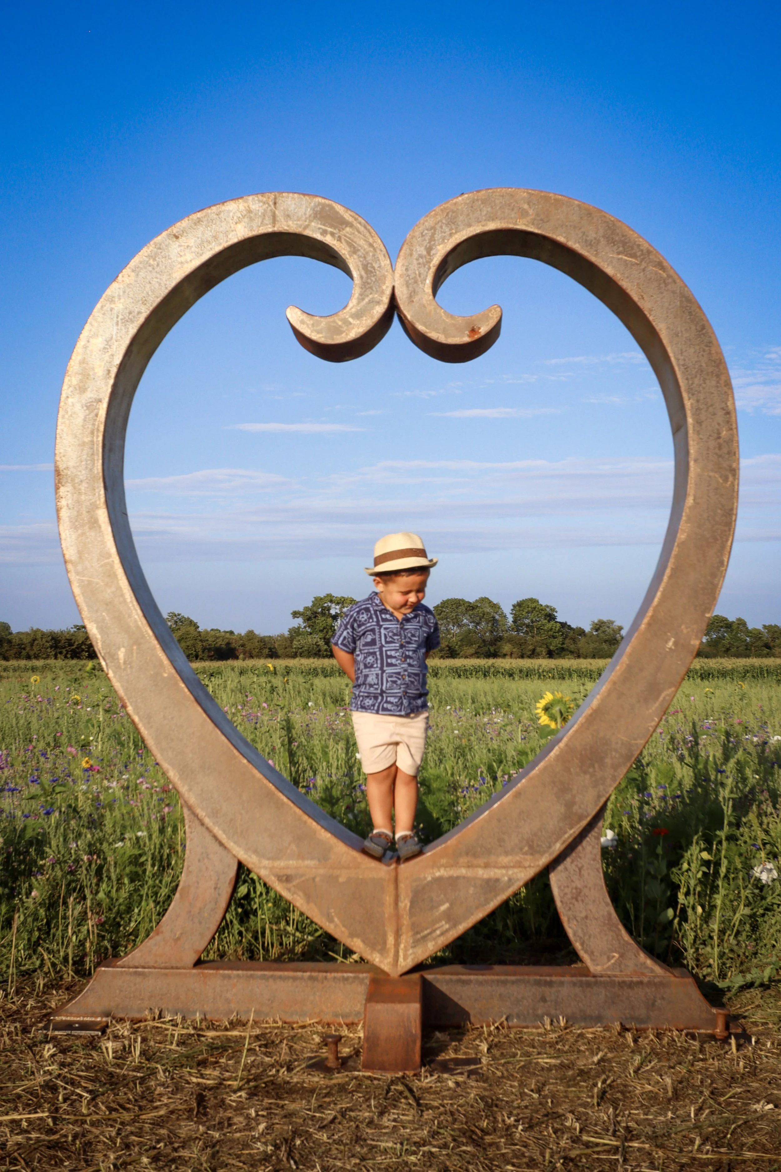 A young boy standing inside a large heart-shaped metal sculpture in a field of wildflowers on a clear day.