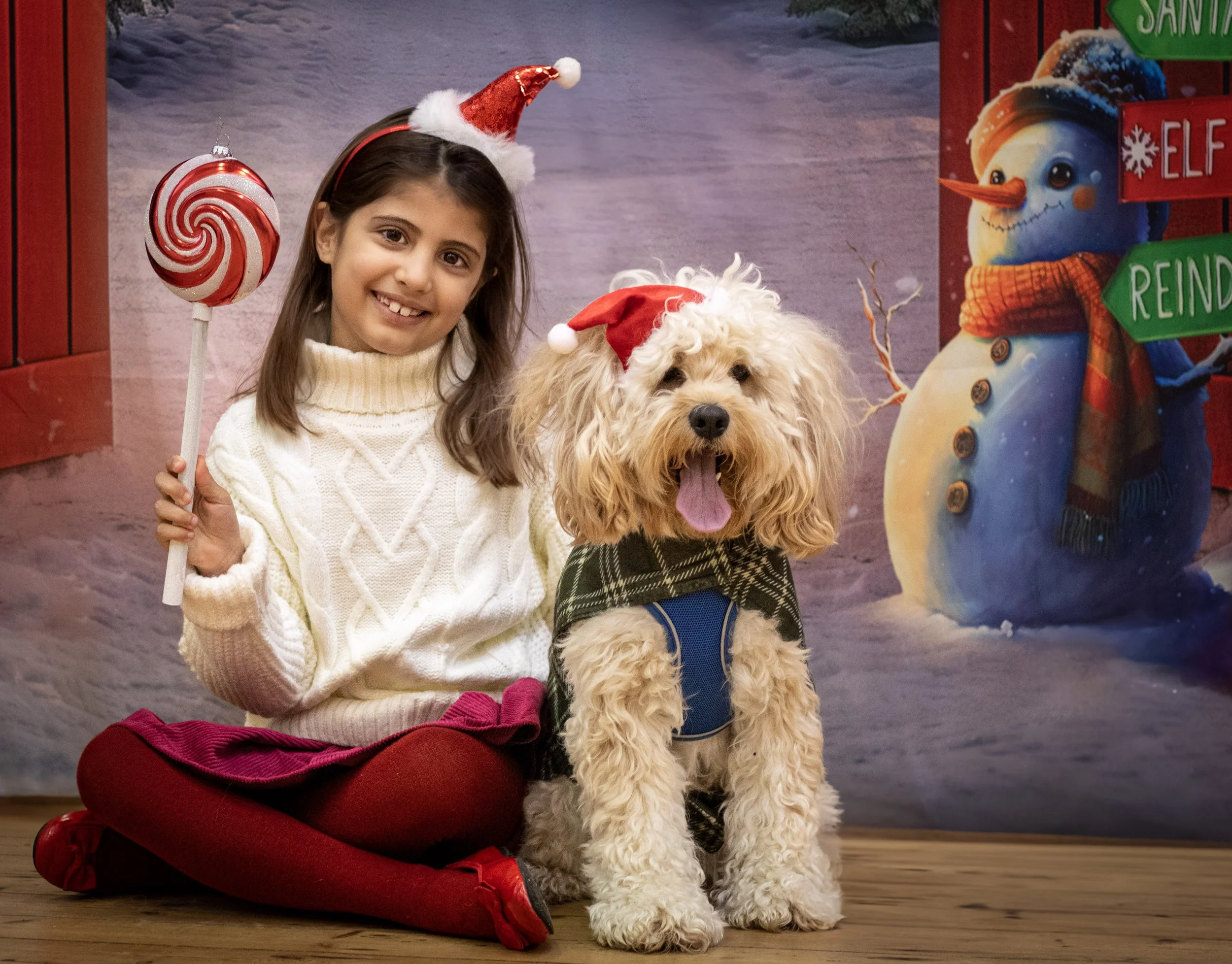 Girl in white sweater and red tights sitting on wooden floor, holding a candy cane stick, with a fluffy dog wearing a Santa hat and plaid vest, both in front of a festive winter backdrop with snowman and holiday signs.