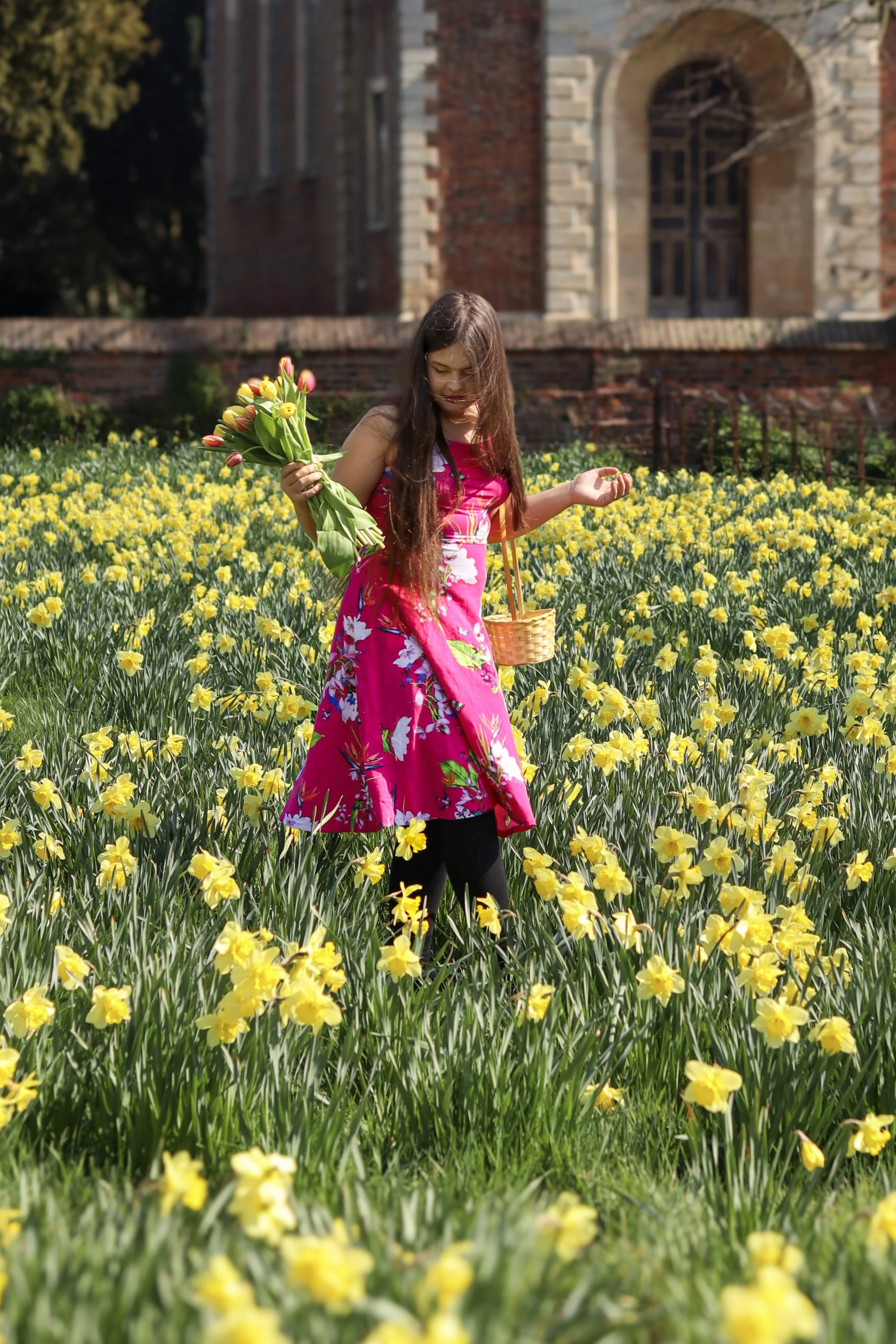 A young girl in a pink floral dress holding a bouquet of tulips and a small basket standing in a field of yellow daffodils with an old brick building in the background.