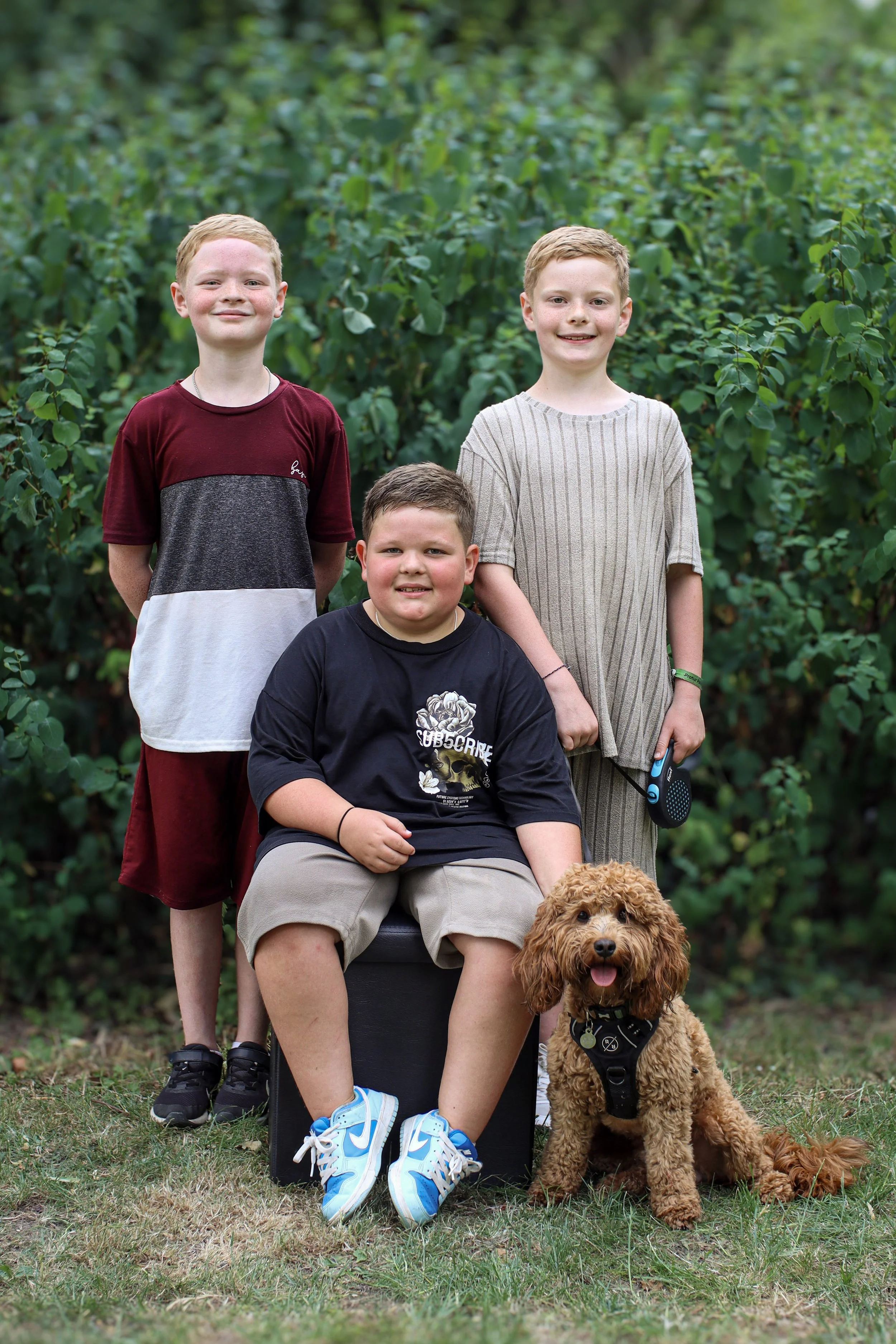 Three boys and a dog outdoors in front of green bushes. One boy is sitting on a black box, holding a leash, with a curly-haired brown dog sitting beside him. Two other boys stand behind, one holding a portable speaker.