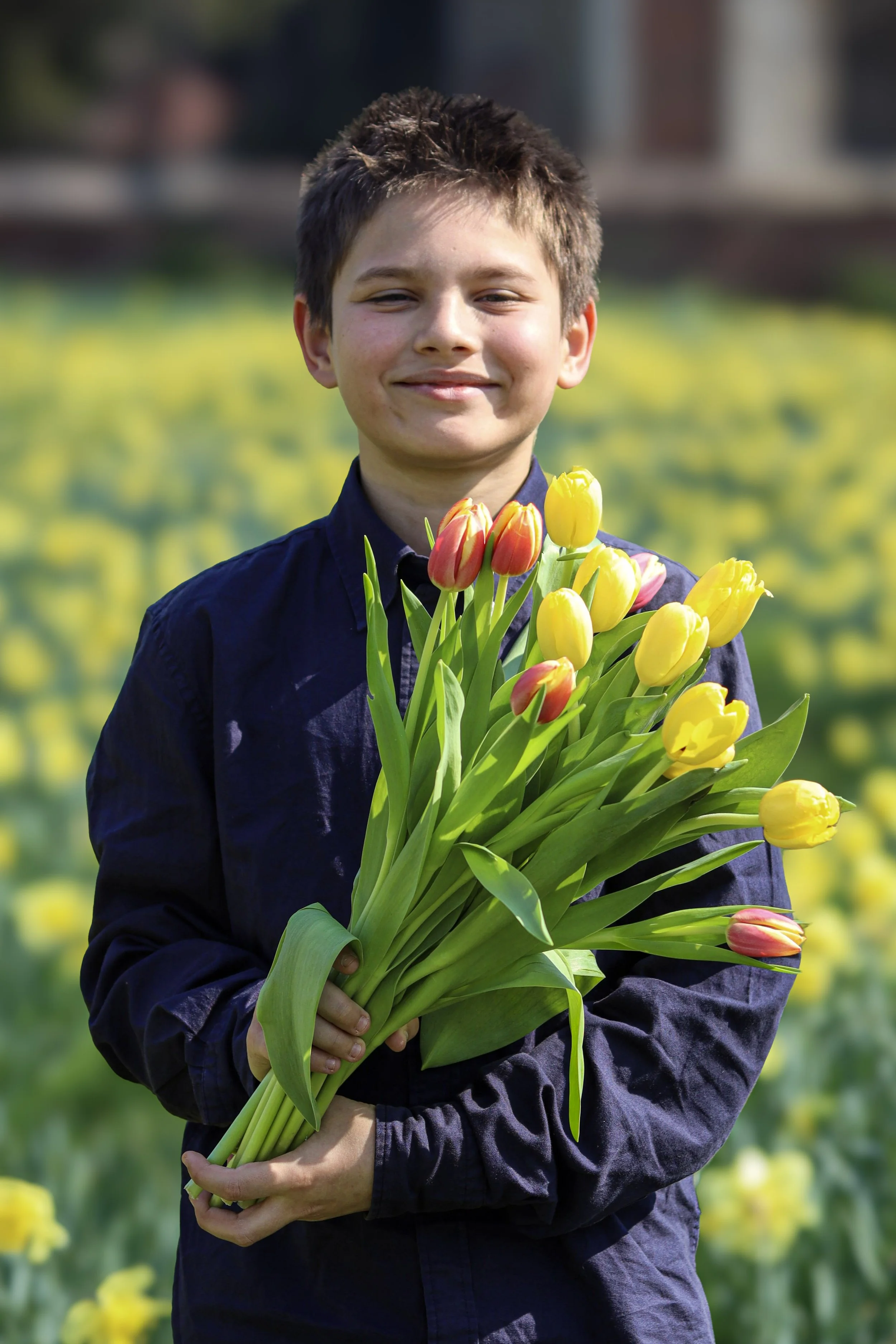 A boy in a dark blue jacket holding a large bouquet of yellow and red tulips outdoors with a blurred yellow flower field in the background.