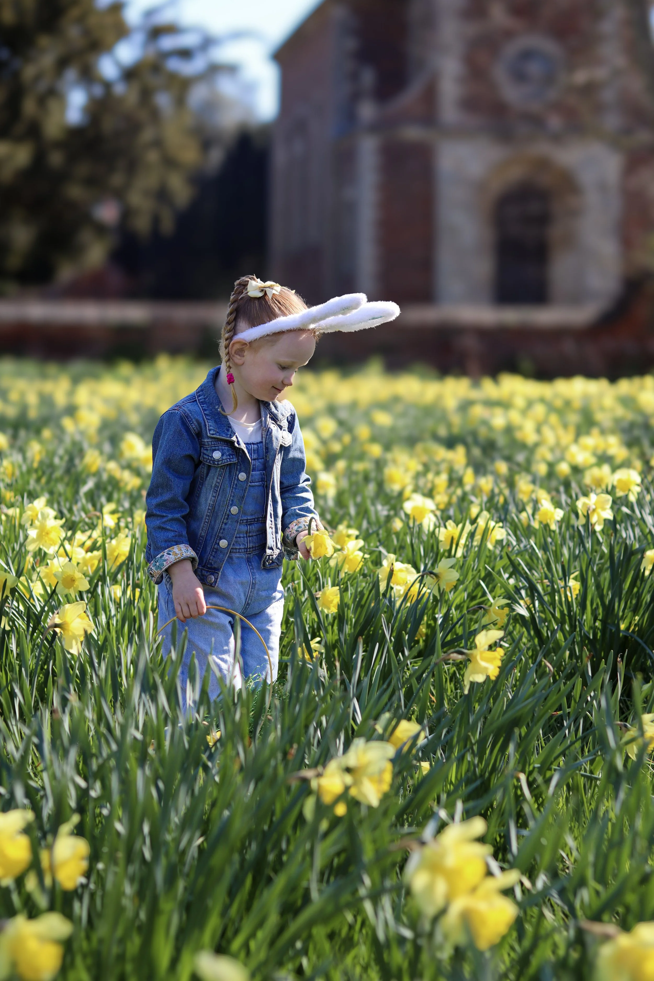 A young girl dressed in a denim jacket and jeans, wearing bunny ears, standing in a field of yellow flowers on a sunny day with an old brick building in the background.