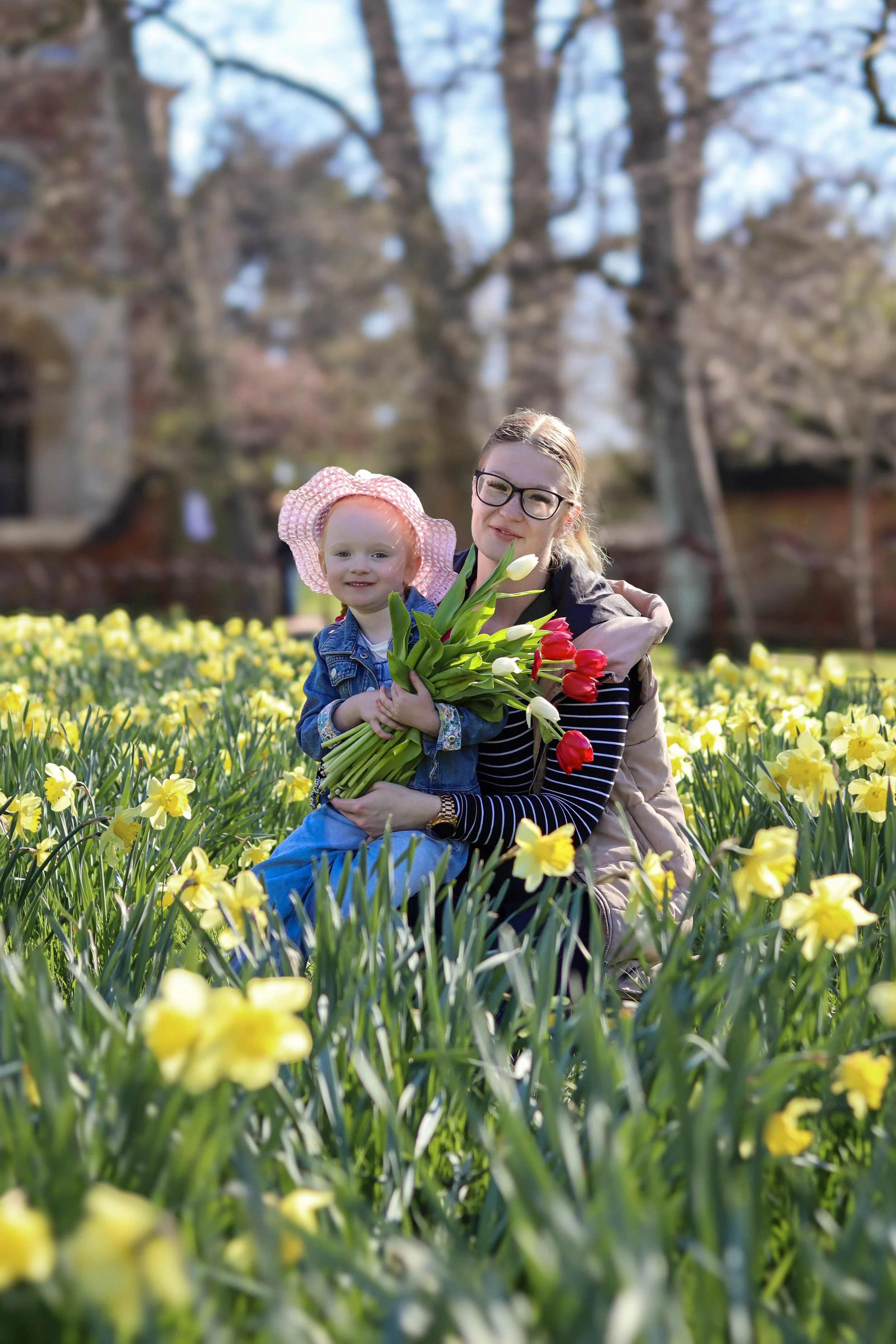 A woman and a young girl sitting in a field of yellow flowers, holding a bouquet of red and white tulips, with trees and buildings in the background.