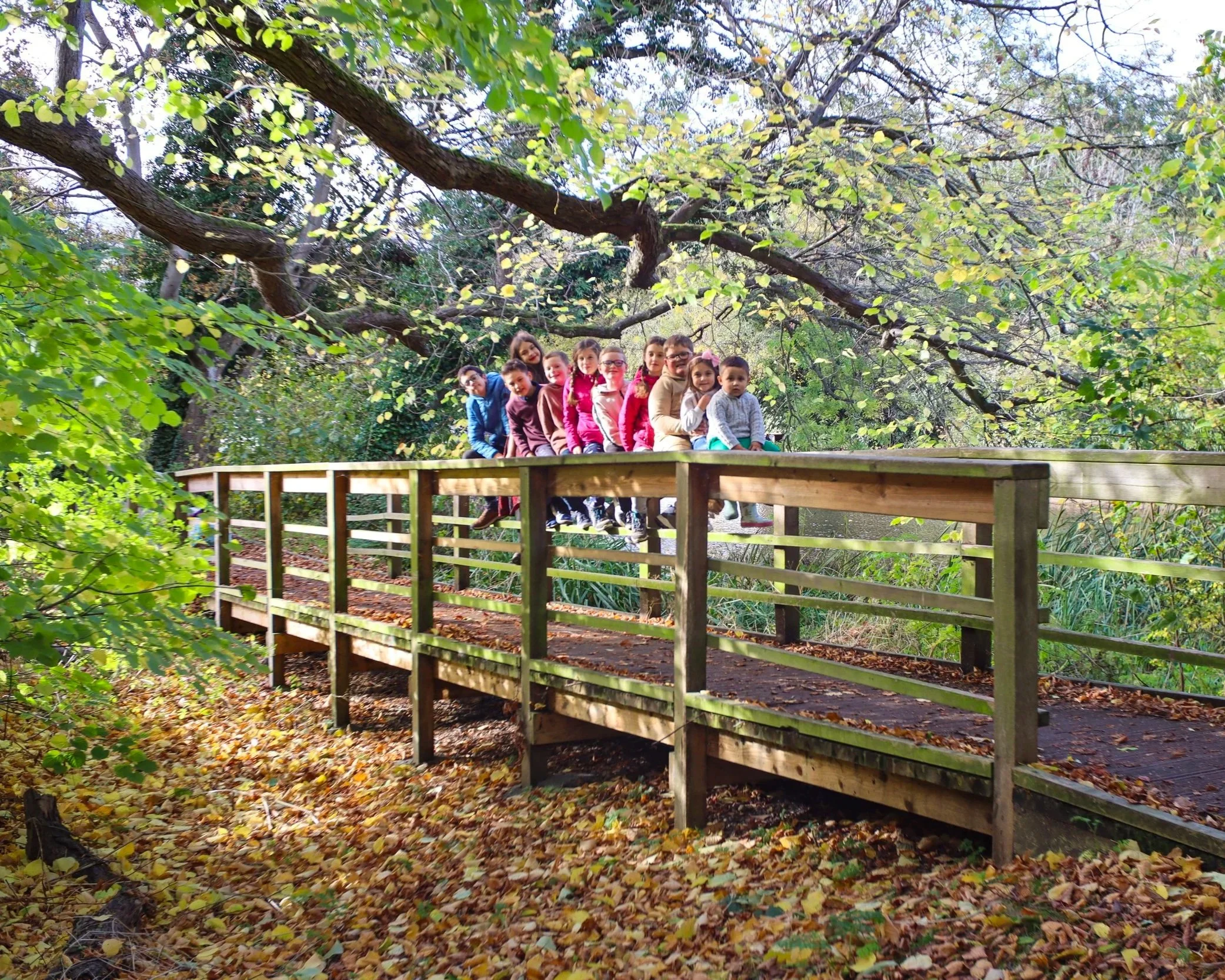 Group of children sitting on a wooden bridge in a park surrounded by autumn leaves and trees.