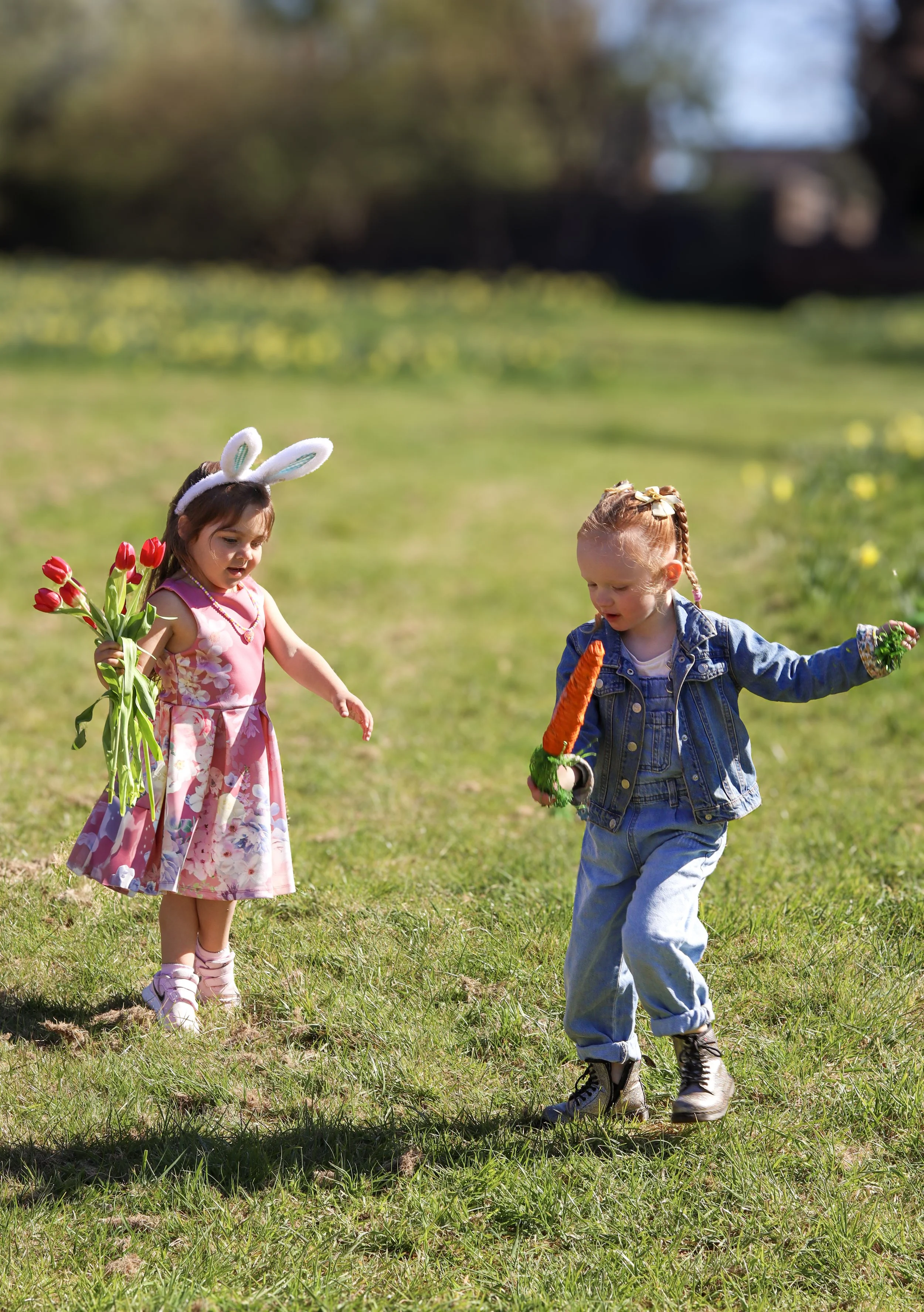 Two young girls playing in a grassy field, one with bunny ears headband holding a bunch of red tulips, the other holding a large carrot and a small flower, dressed casually on a sunny day.