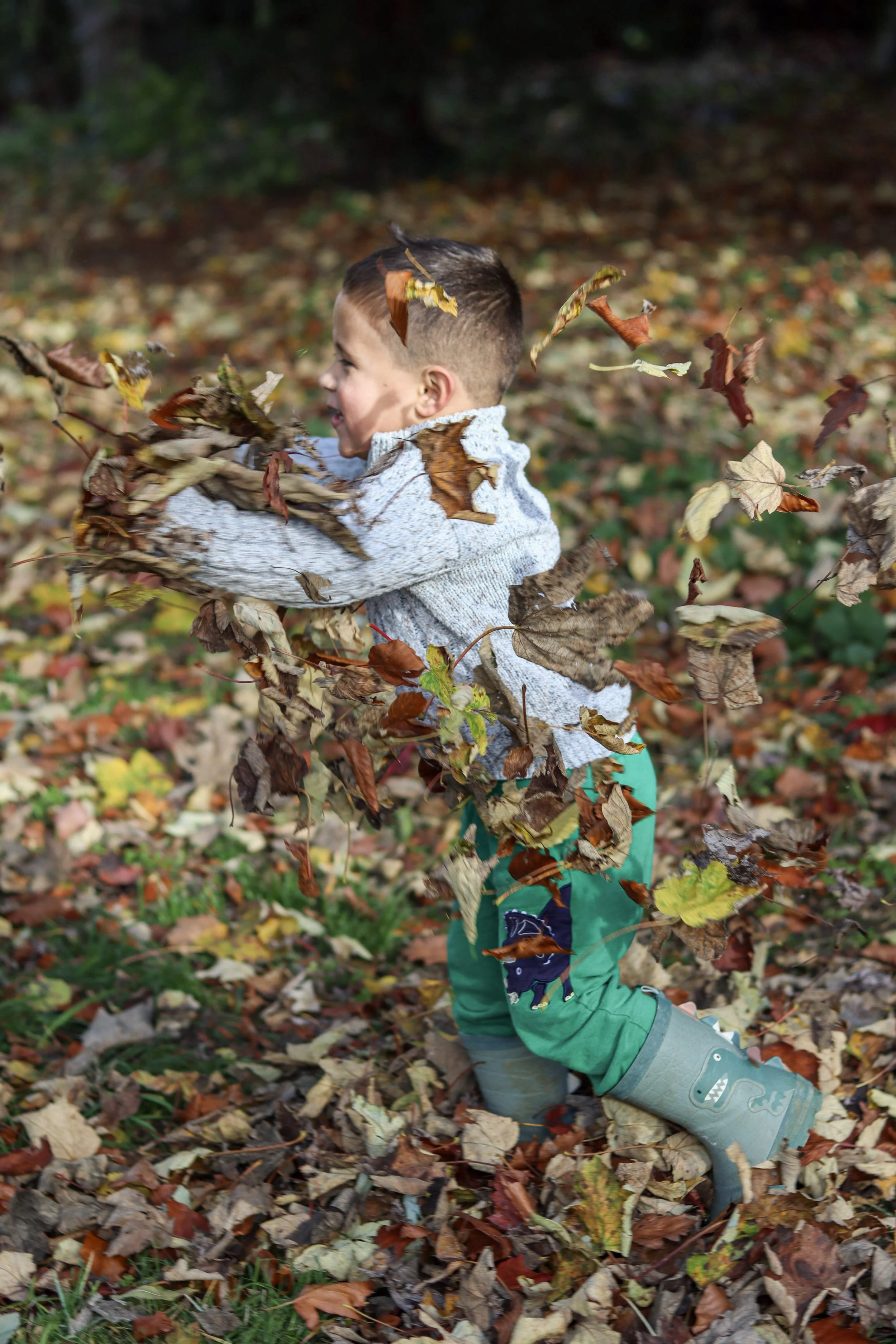 A young boy playing in a pile of fallen autumn leaves in a park or forest.