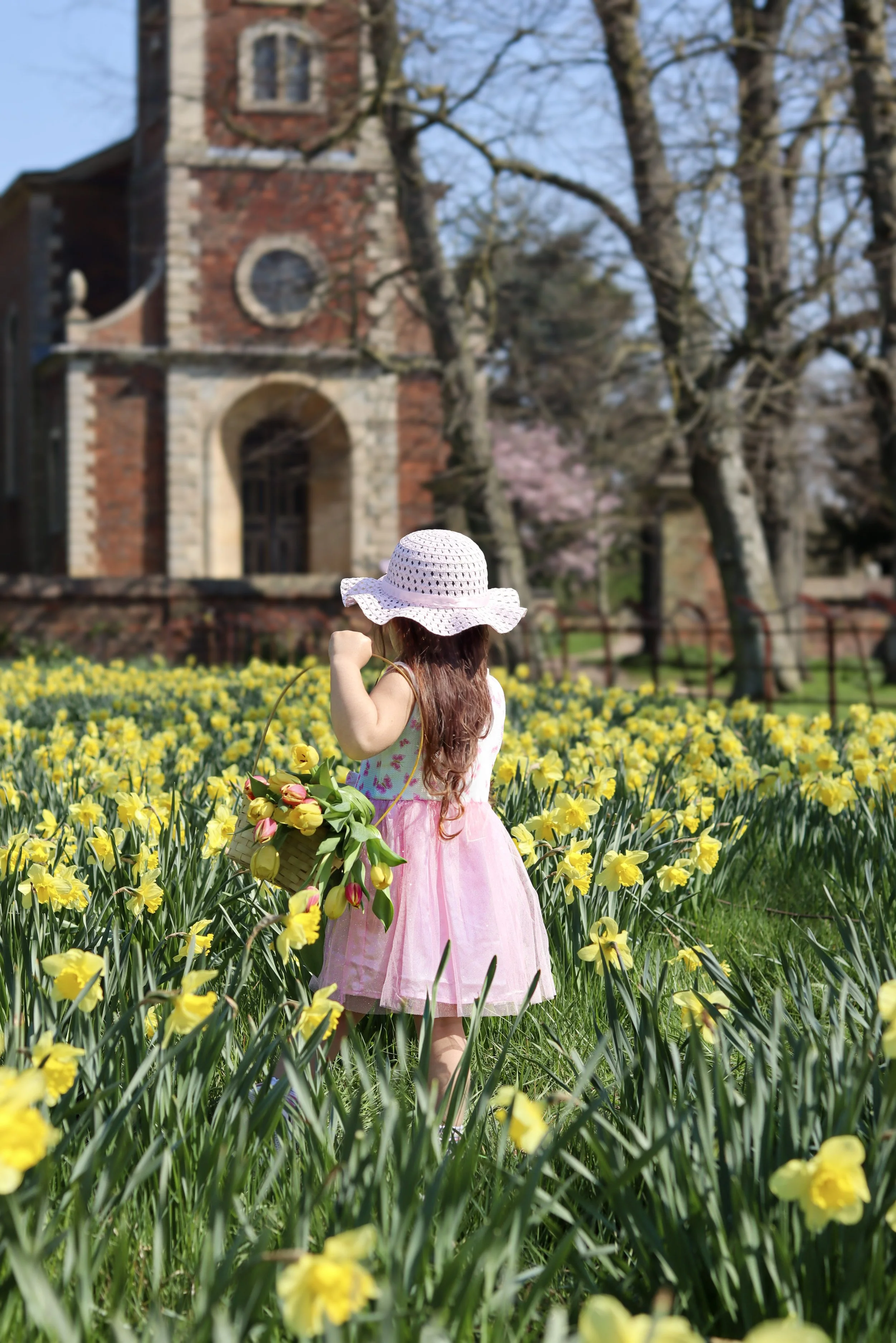 A young girl in a pink dress and large sun hat stands in a field of yellow flowers, holding a basket of tulips, with a brick church and trees in the background.