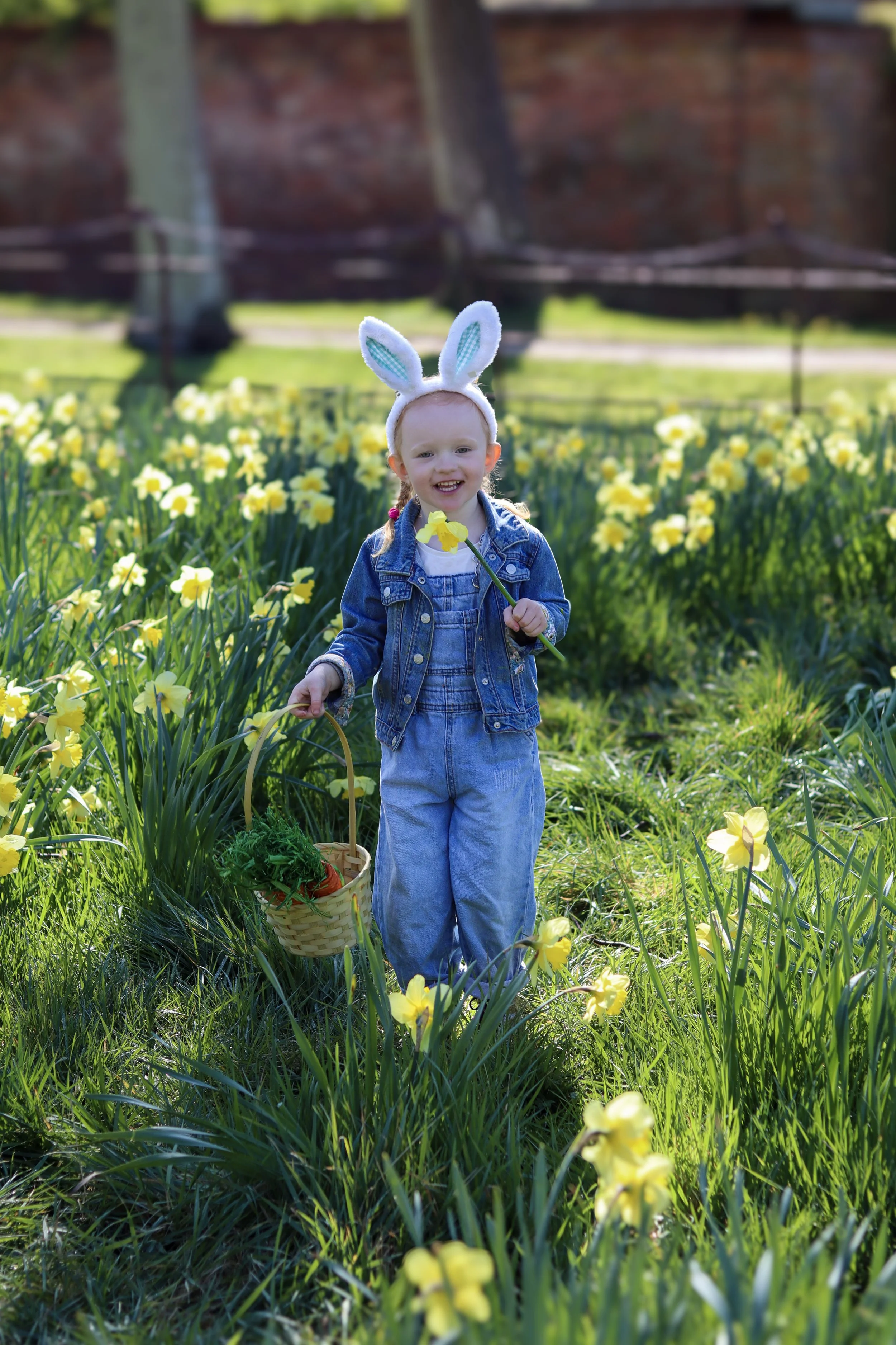 A young girl with bunny ears headband holding a yellow flower and basket of vegetables, standing among yellow daffodils in a garden.