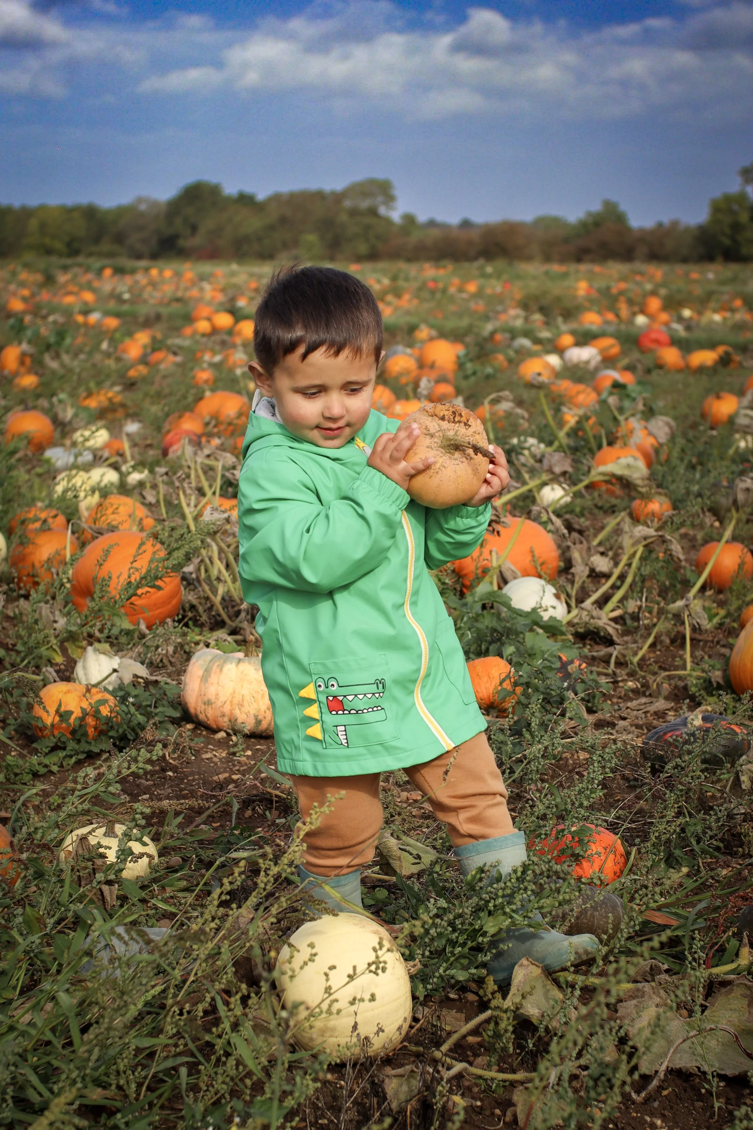 A young boy in a green jacket holding a pumpkin in a pumpkin patch during daytime.