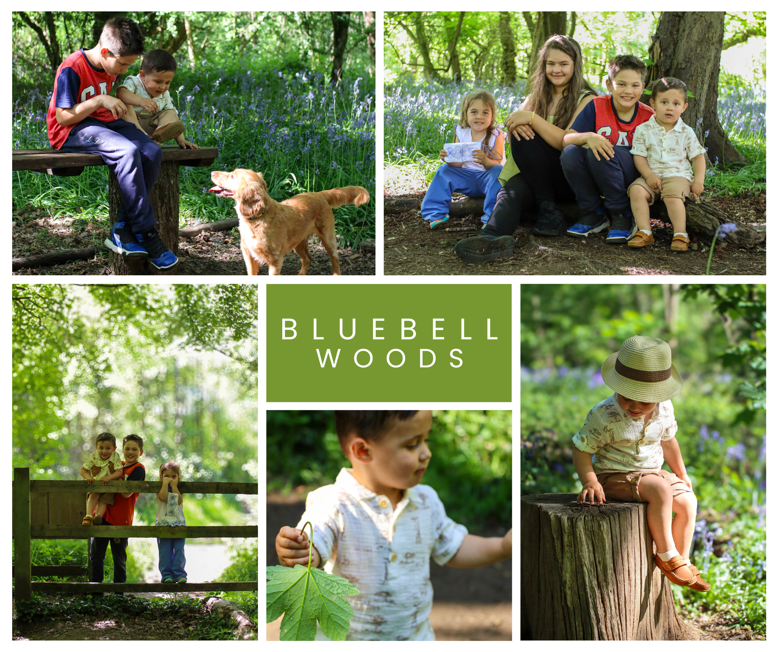 Family photos and portraits taken by a family photographer in Milton Keynes, Buckinghamshire in the UK. Special occasions, christening, baptism, newborn, baby, birthday, anniversary, wedding photo shoots and sessions