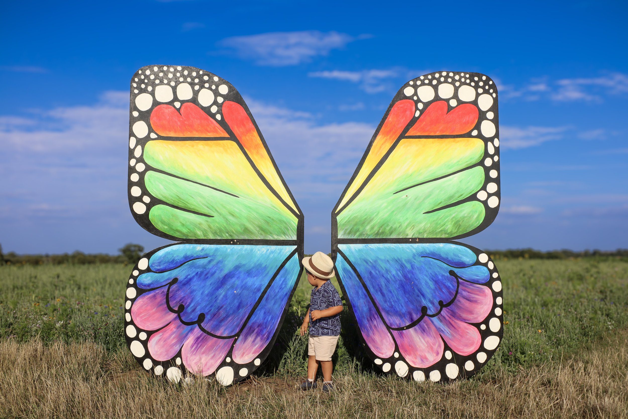 A young boy wearing a straw hat and patterned shirt standing in front of a large colorful butterfly sculpture with rainbow-colored wings under a blue sky with clouds.