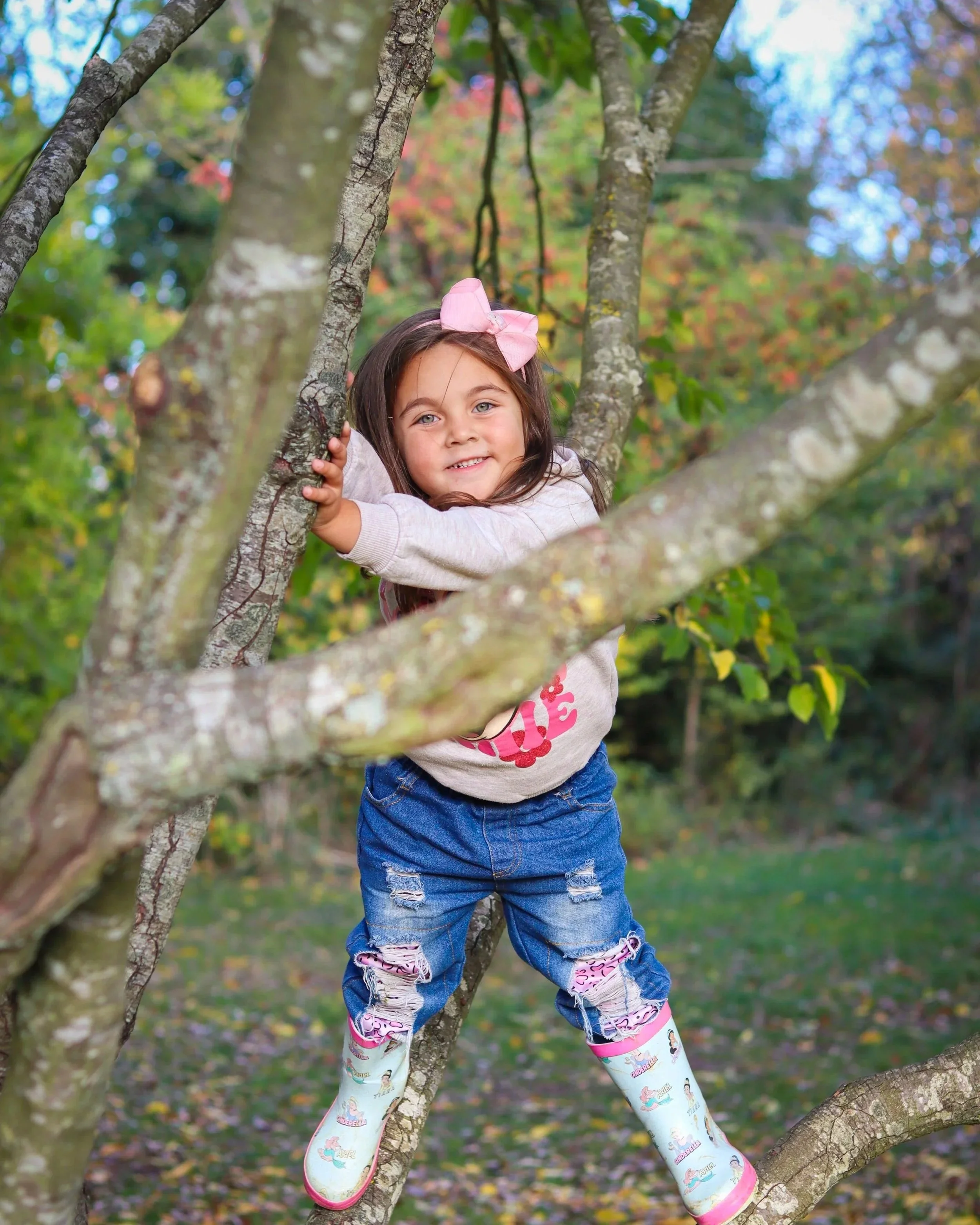 A young girl wearing a pink bow in her hair, a gray sweatshirt, ripped blue jeans, and colorful rain boots, climbing a tree outdoors amidst fall foliage.