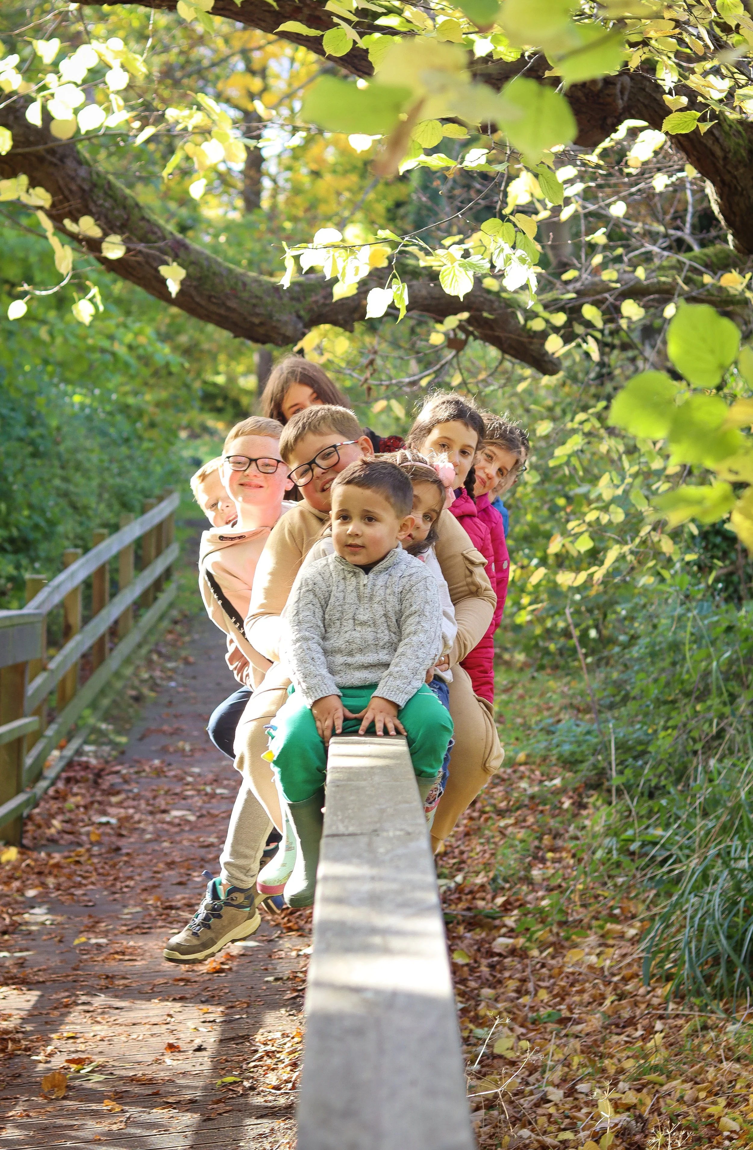 Group of children sitting on a wooden railing on a forest trail, smiling and enjoying a walk among green and yellow leaves.