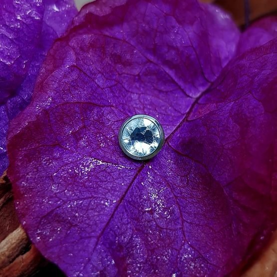 DERMAL-TOP4.jpeg