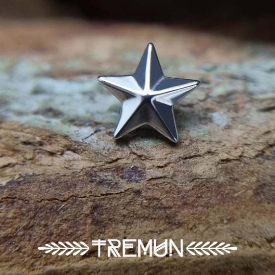MEDAL-STAR2.jpeg