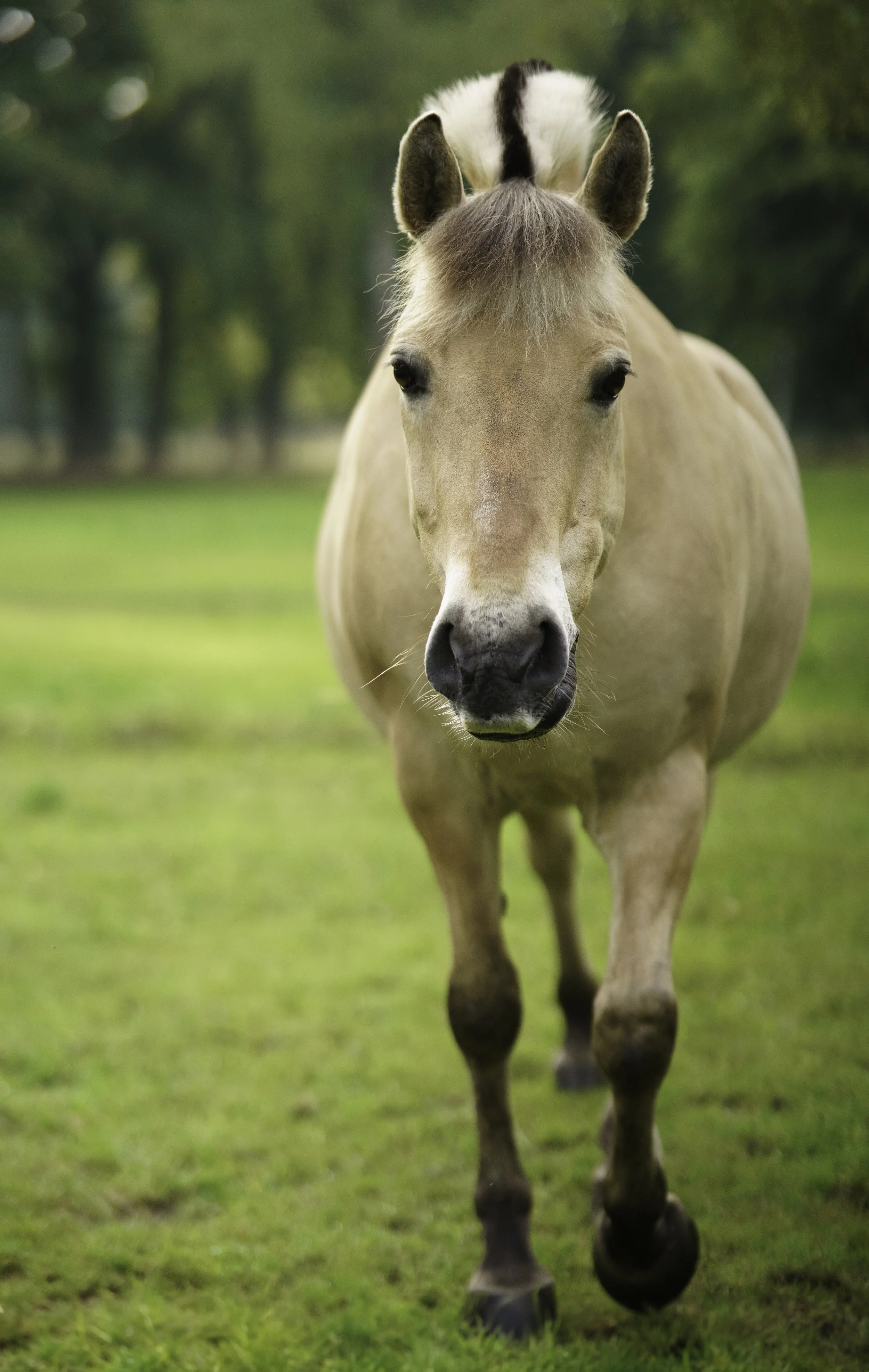 DSC02342 kopie-bewerkt.jpg