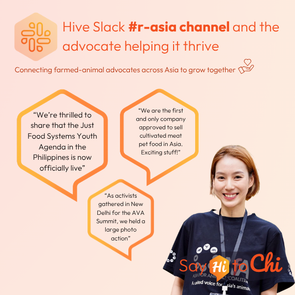 Meet Chi, #r-asia Channel Lead on       Hive Slack