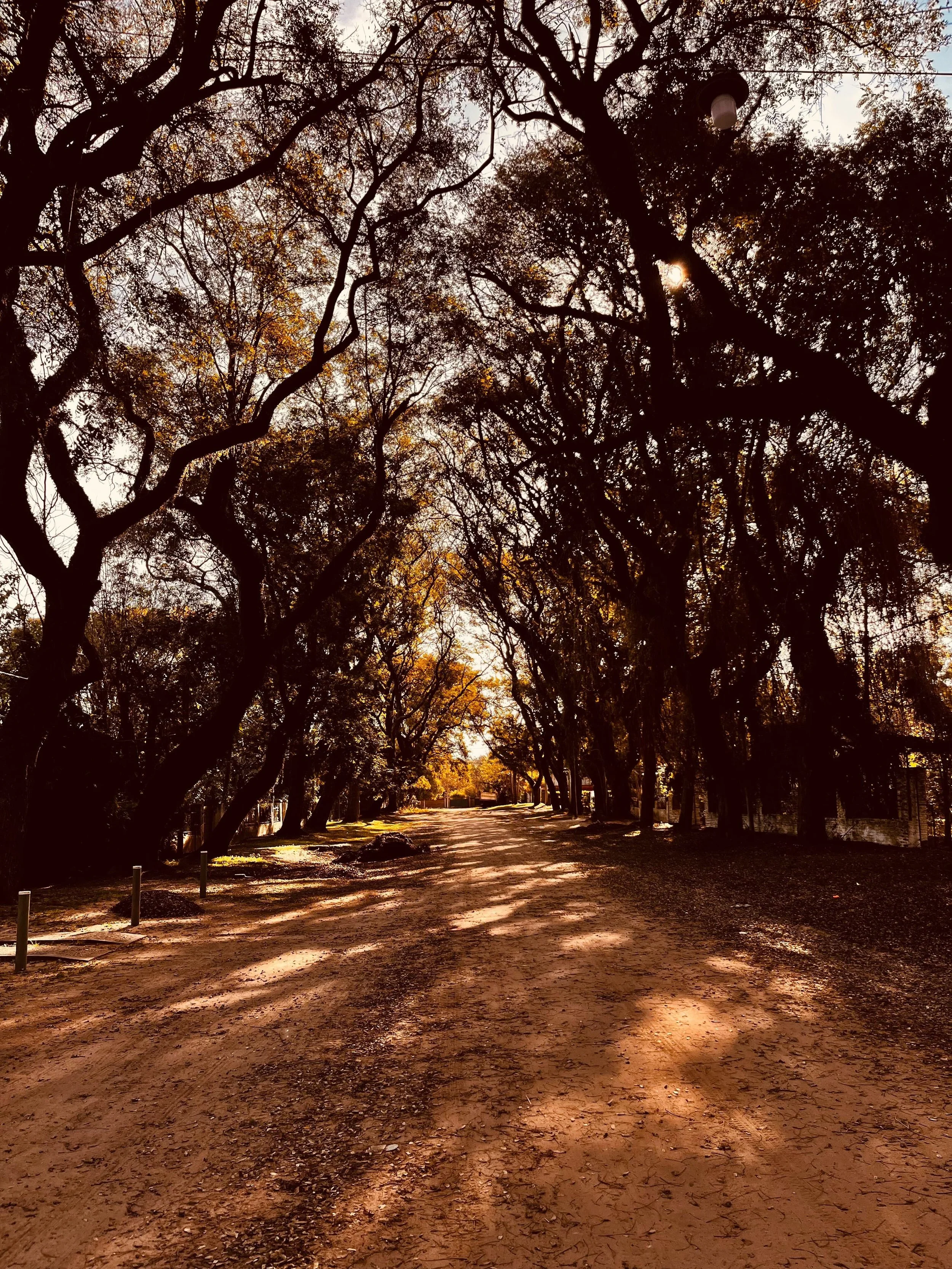 IMG_4501.jpg