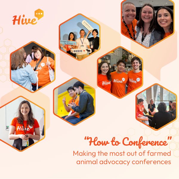 “How to Conference”: Making the most out of farmed animal advocacy conferences