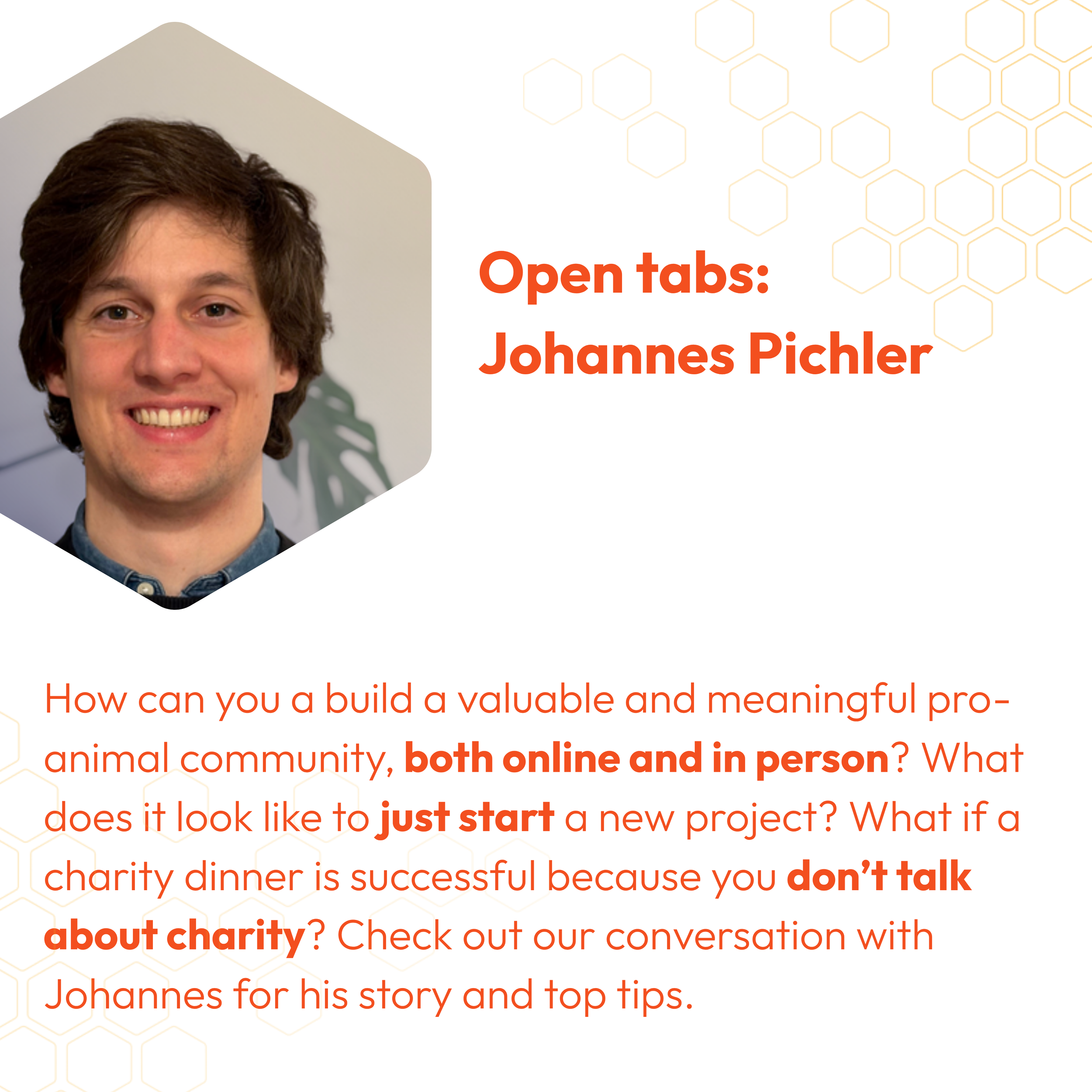 Open tabs: Johannes Pichler