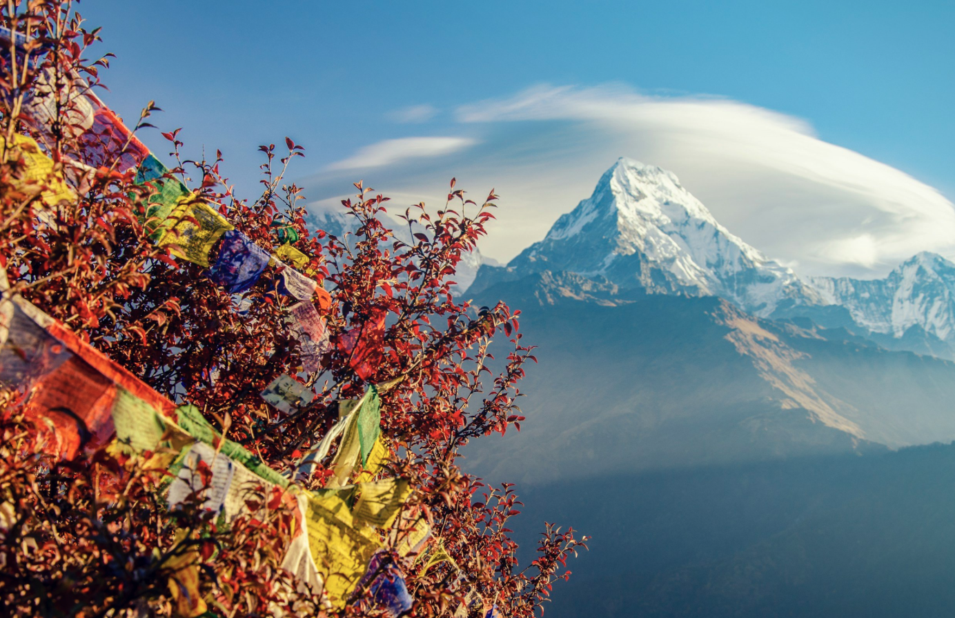Exploring the Different Types of Trekking in Nepal