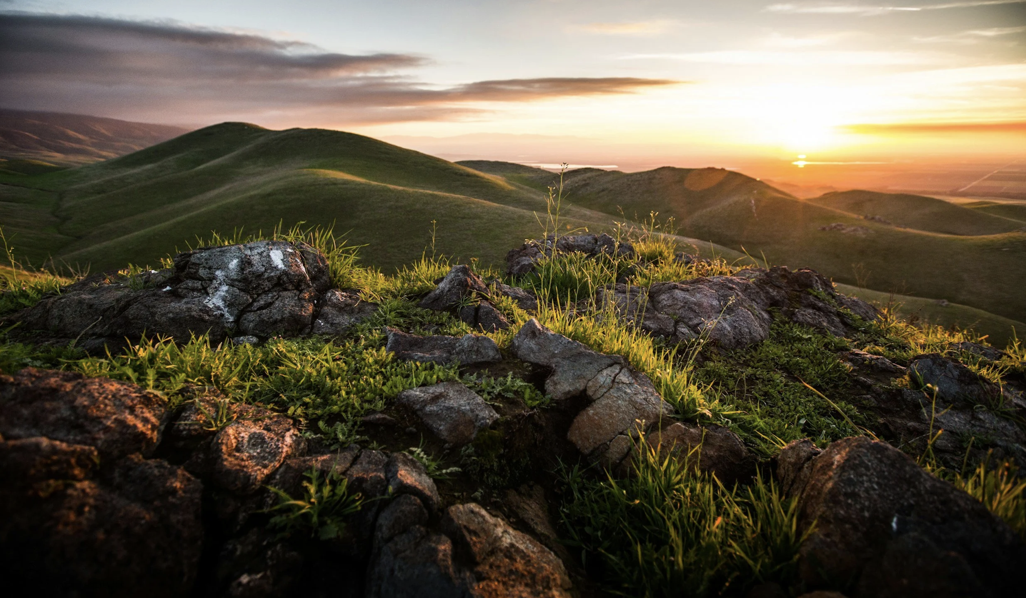 Bakersfield, California Travel Guide: A Gritty Taste of the Golden State’s Heartland