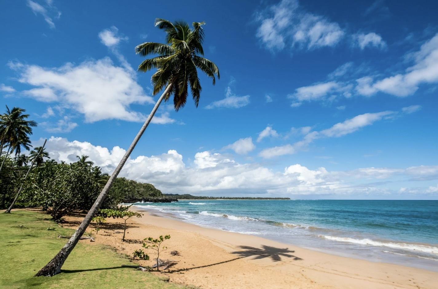 The Ultimate Dominican Republic Travel Bucket List: A Journey Like No Other