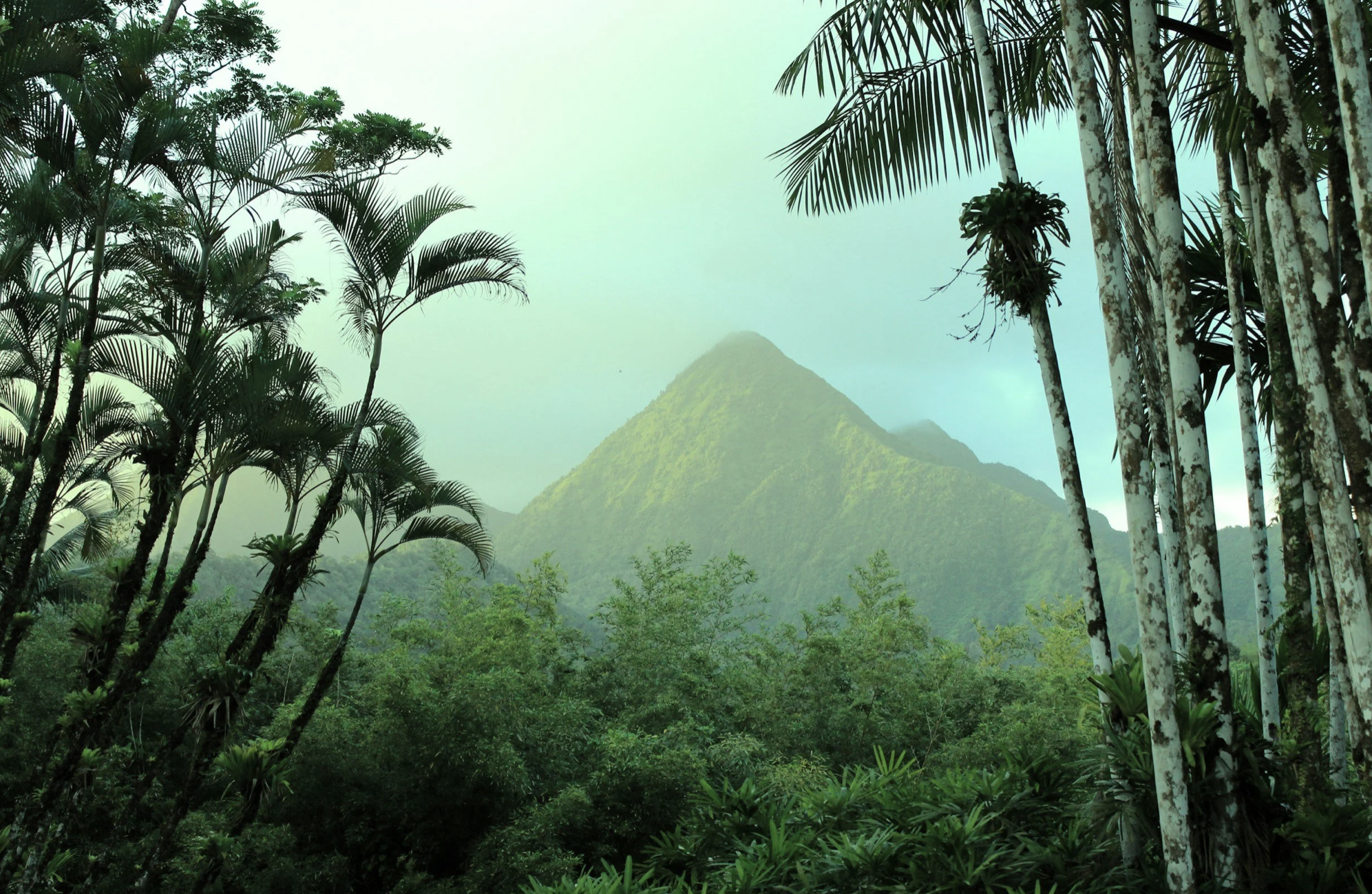 Exploring Martinique: A Quintessential Caribbean Travel Guide