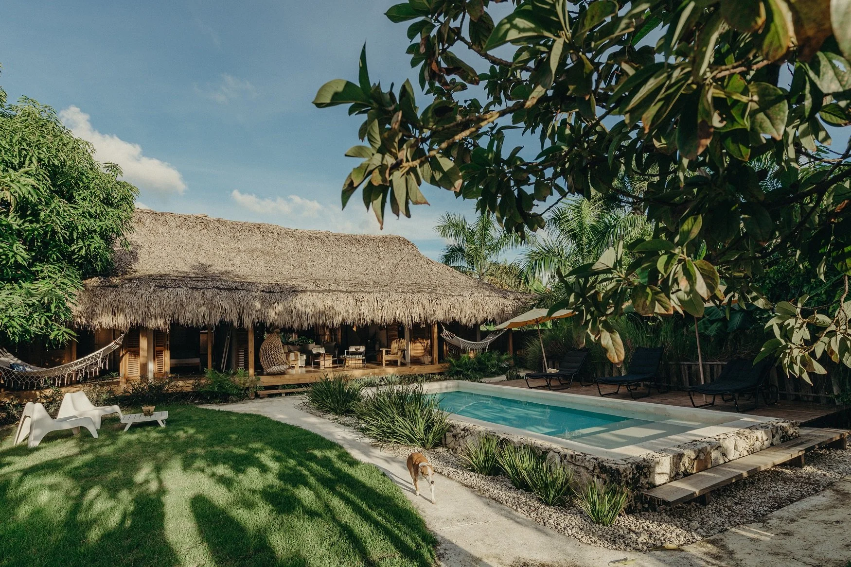 Escena de una piscina en un jardín tropical con una cabaña de techo de paja, tumbonas, sombrillas y vegetación exuberante bajo un cielo despejado