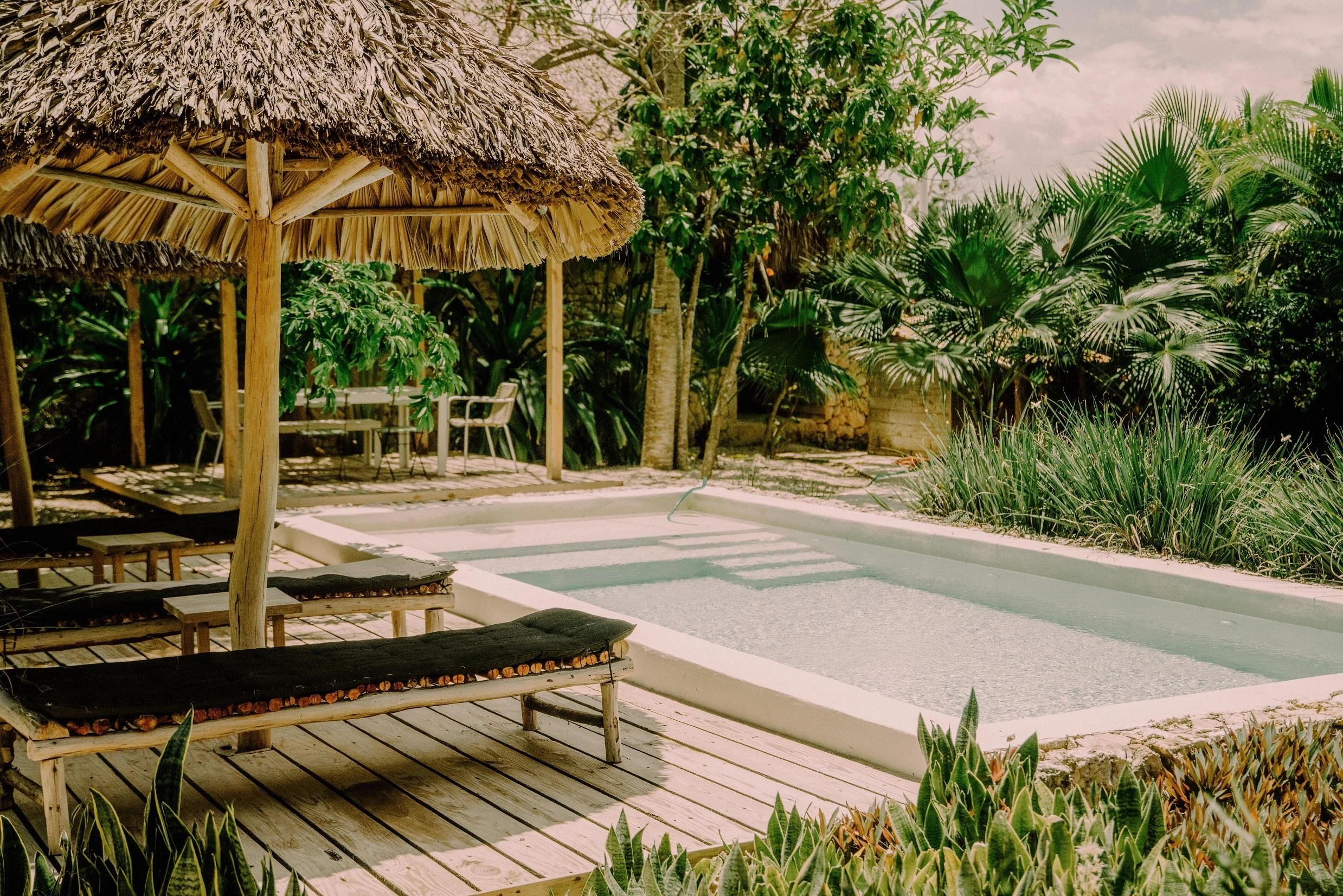 Piscina pequeña con borde blanco, rodeada de plantas verdes y sombrillas de paja, en un ambiente tropical.