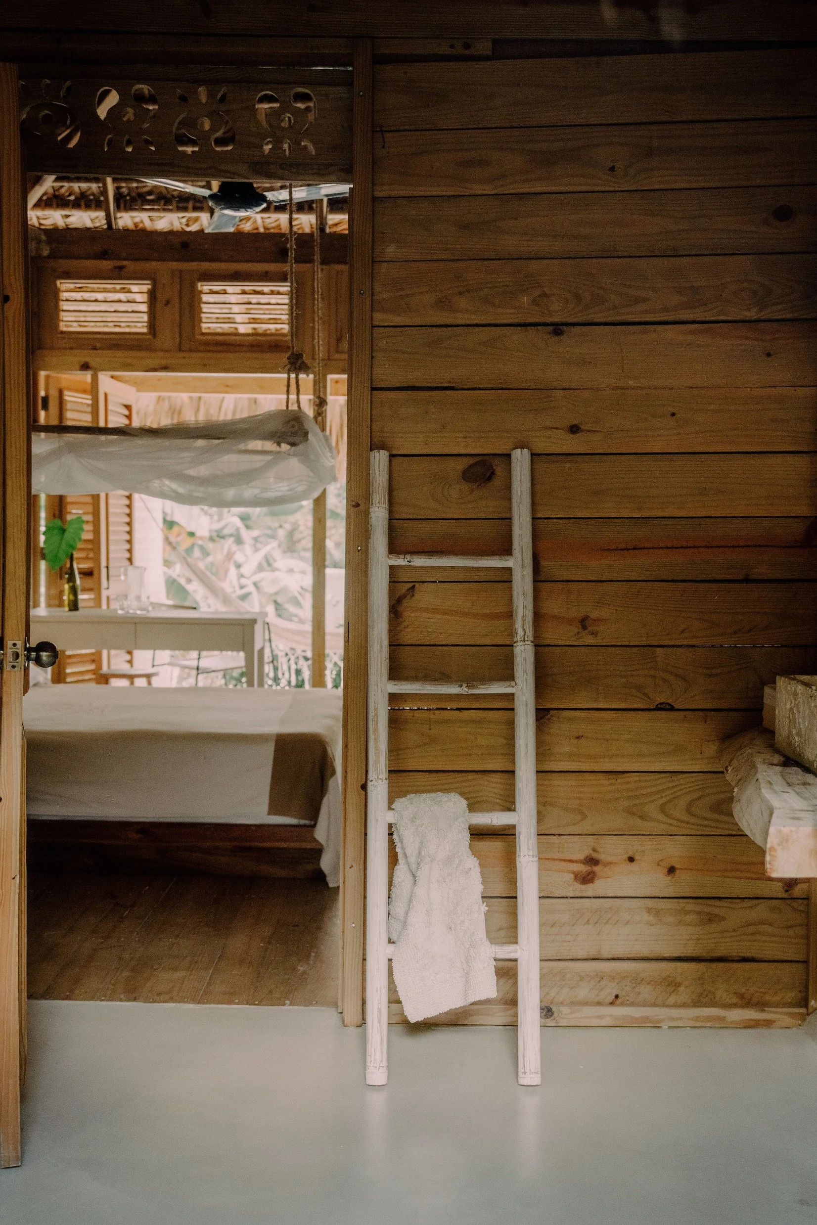 Interior de una cabaña de madera con una escalera de mano apoyada en la pared y una cama visible en el fondo.
