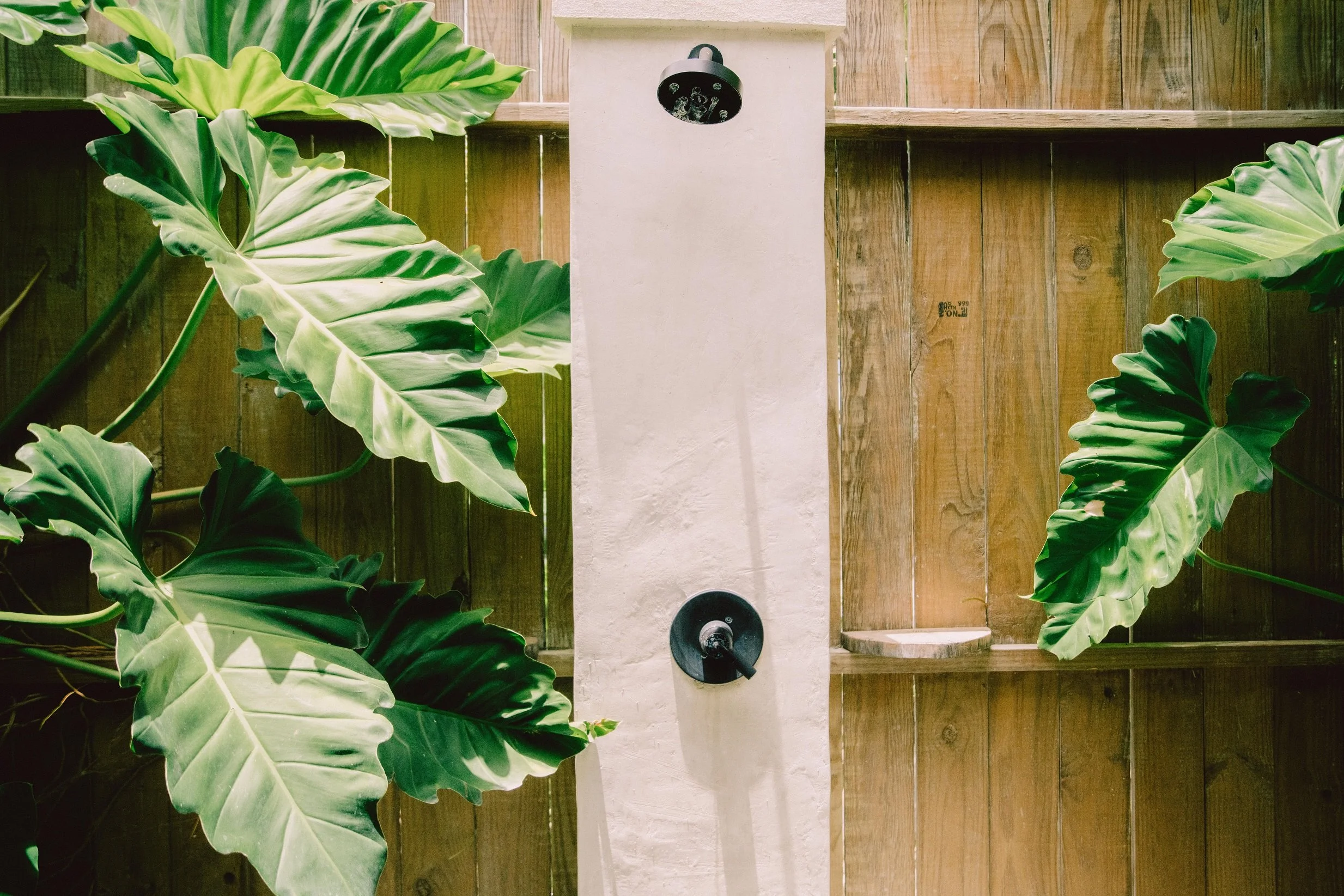 Una ducha al aire libre con azulejos blancos y una pared de madera, rodeada de plantas verdes grandes y frondosas.