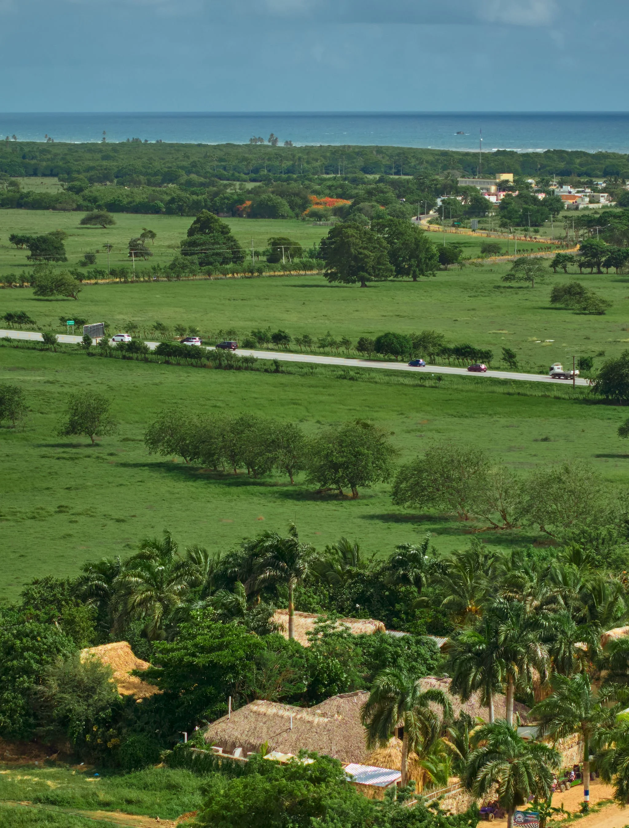 Paisaje con árboles, carretera con coches, casas con techos de paja y el océano en el horizonte.