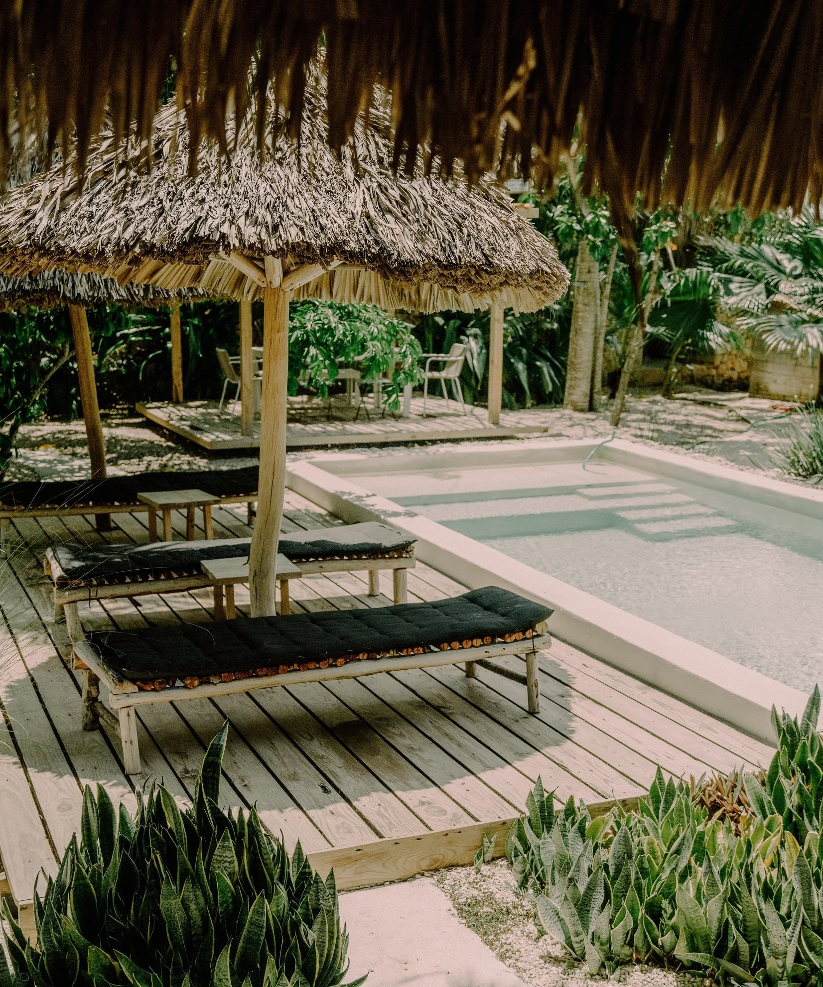Alberca junto a una terraza con sillas y sombrillas típicas de playa en un ambiente tropical