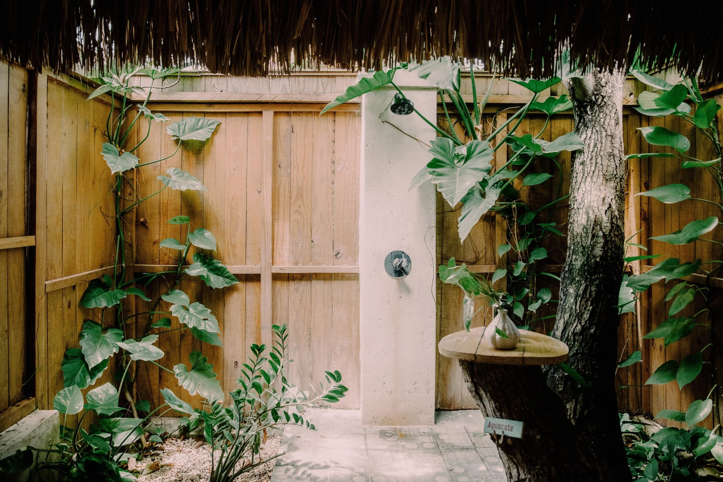 Un espacio abierto con paredes de madera, plantas verdes y una ducha al fondo, rodeado de vegetación.