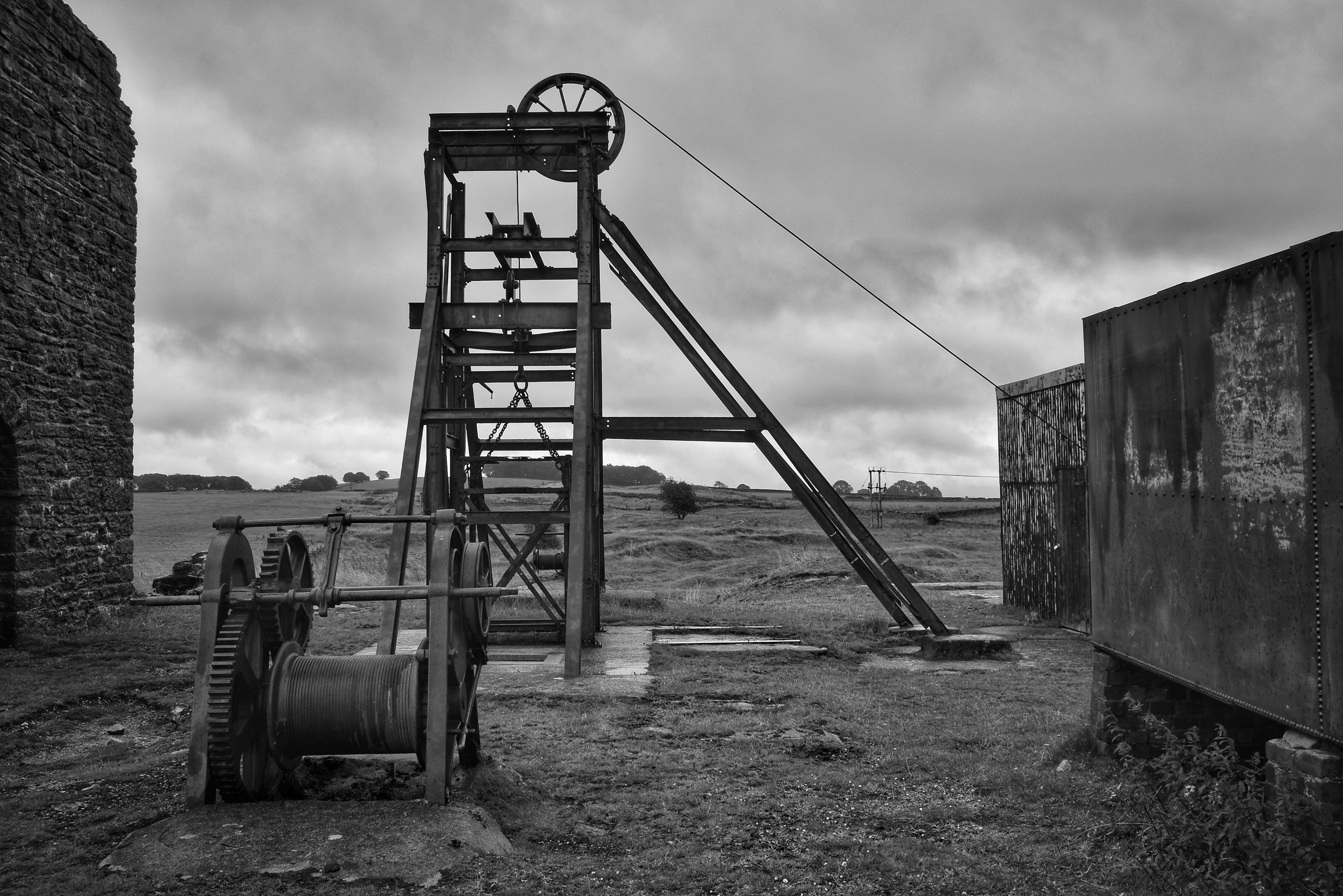 The Story of Oil and Human Evolution