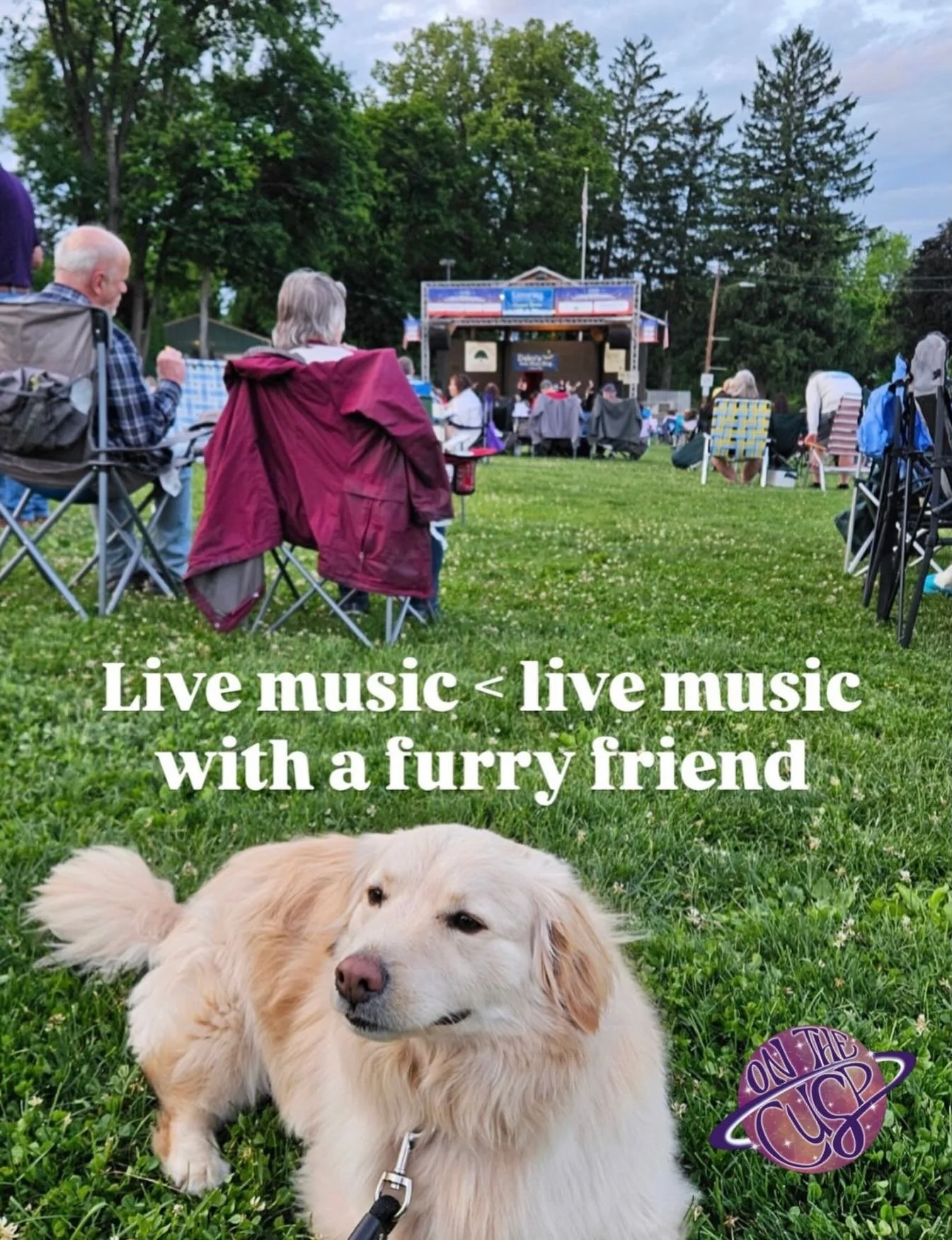 A perfect night, imo 😎🐶

#onthecusp #onthecuspband #lehighvalley #livemusic #dogsofinstagram